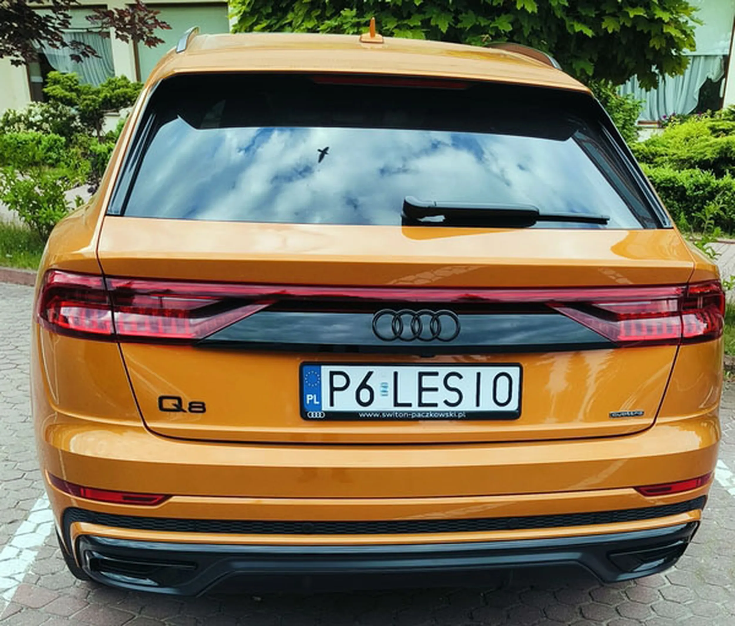 Fajny numer, blacha P6 LESIO