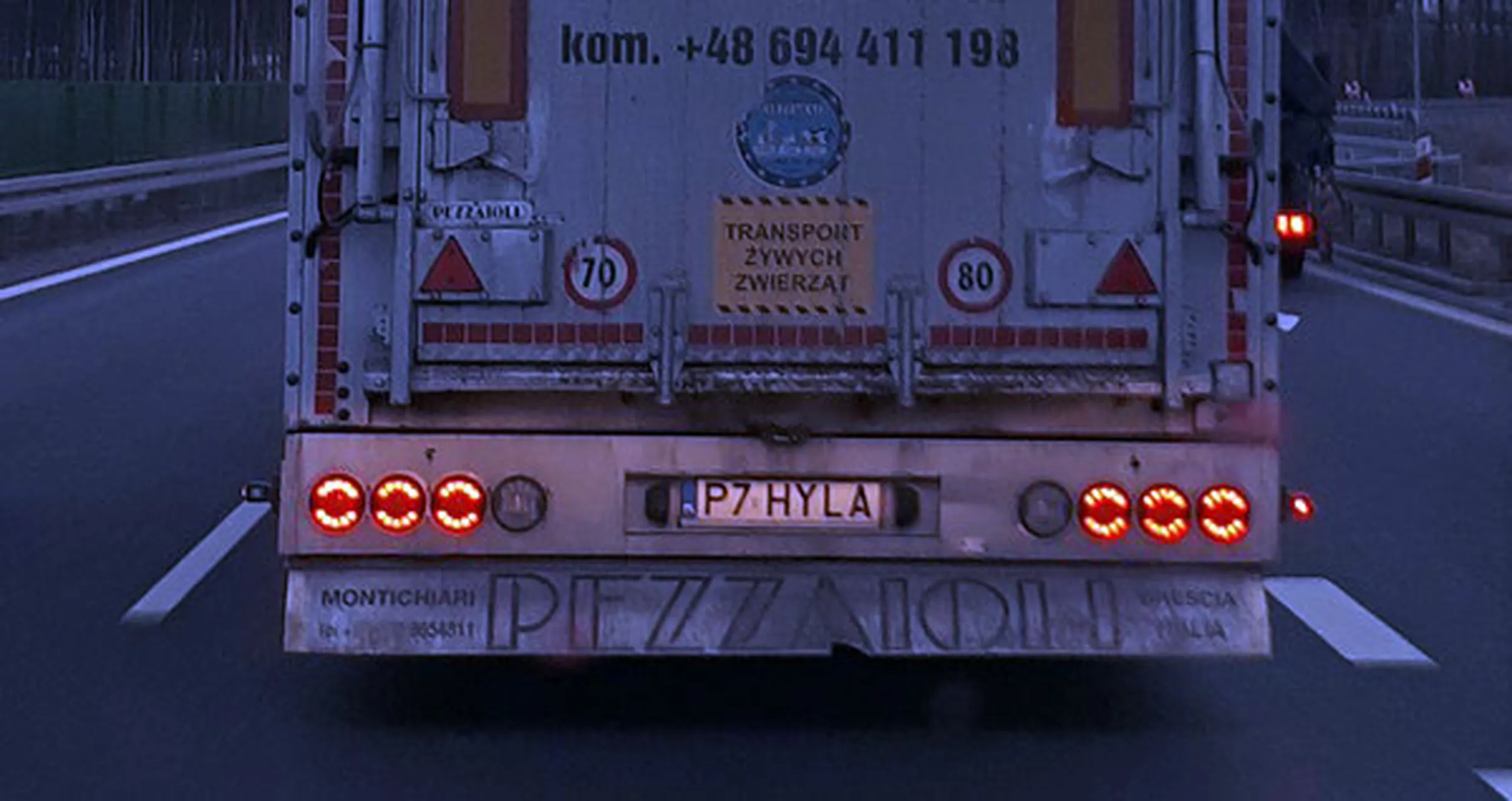 Fajny numer, blacha P7 HYLA