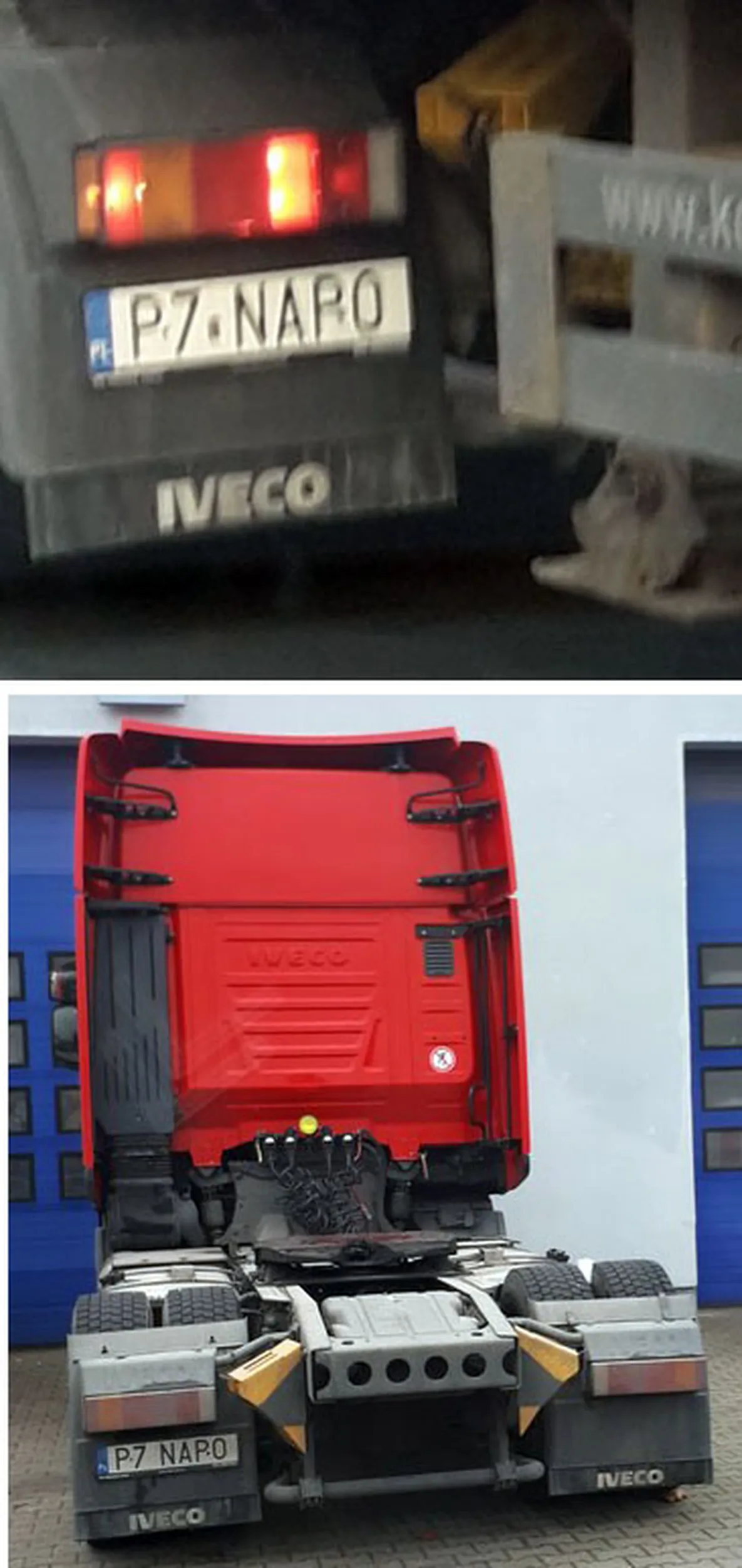 Fajny numer, blacha P7 NAPO