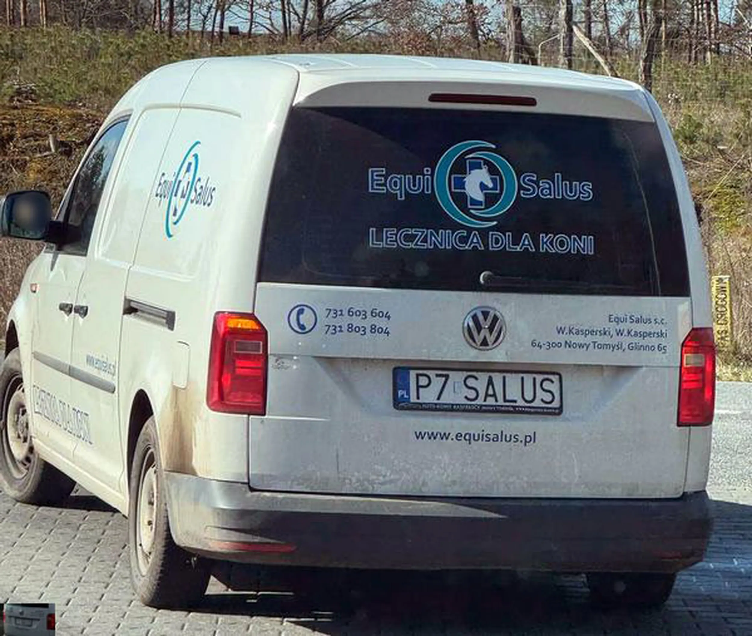 Fajny numer, blacha P7 SALUS