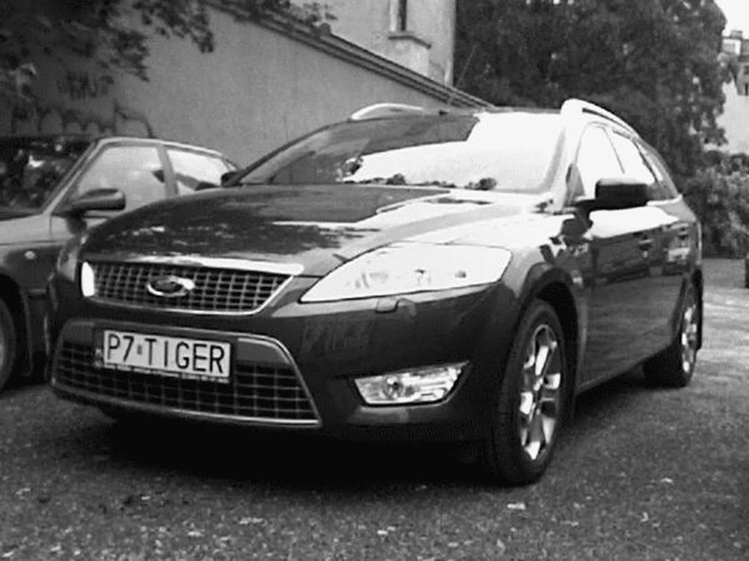 Fajny numer, blacha P7 TIGER