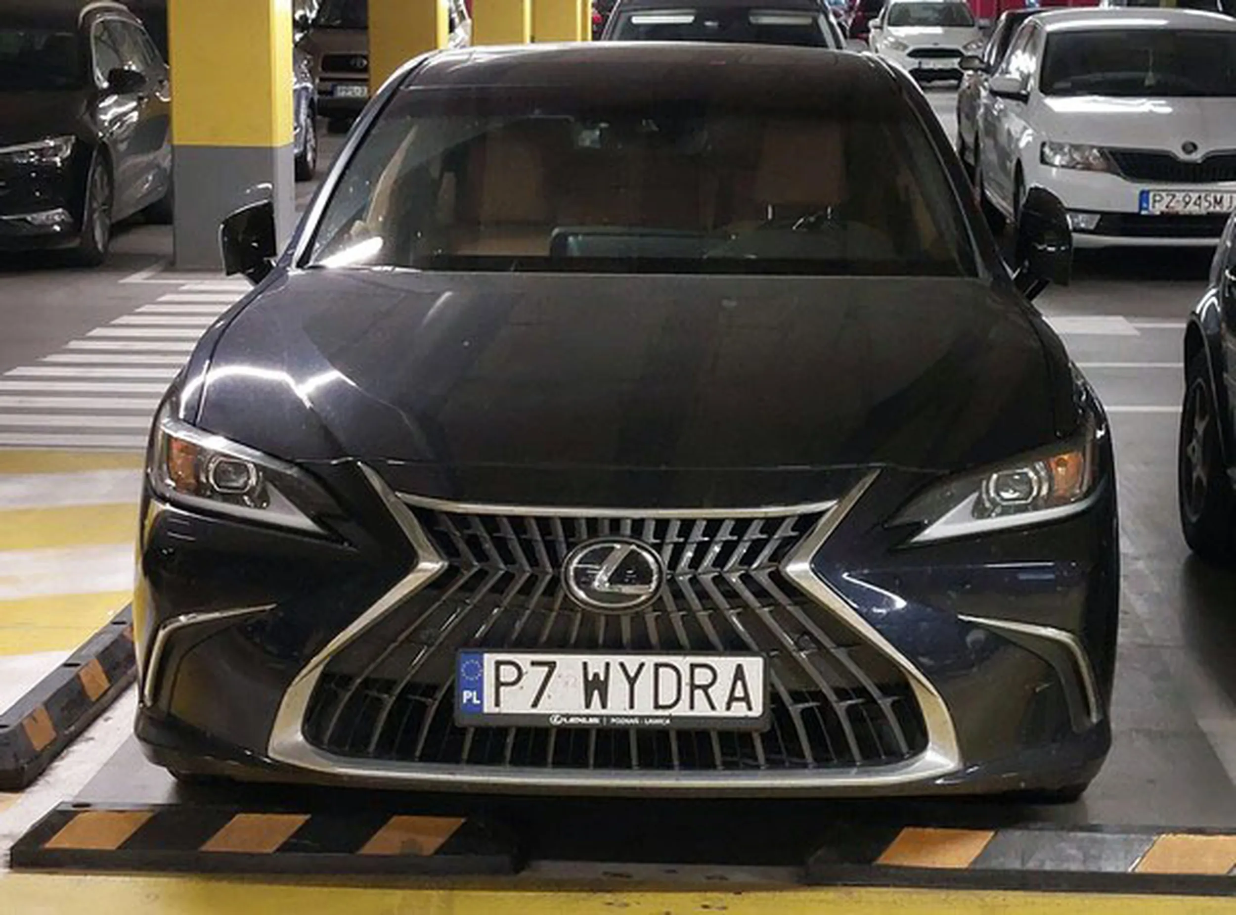 Fajny numer, blacha P7 WYDRA