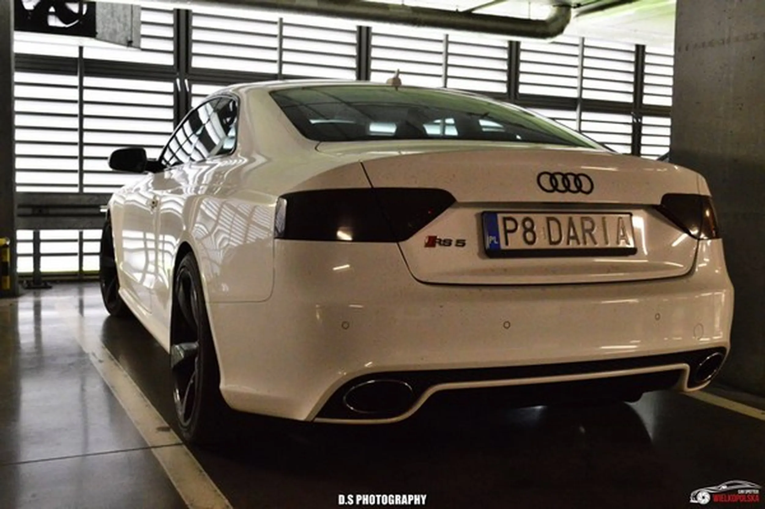 Fajny numer, blacha P8 DARIA