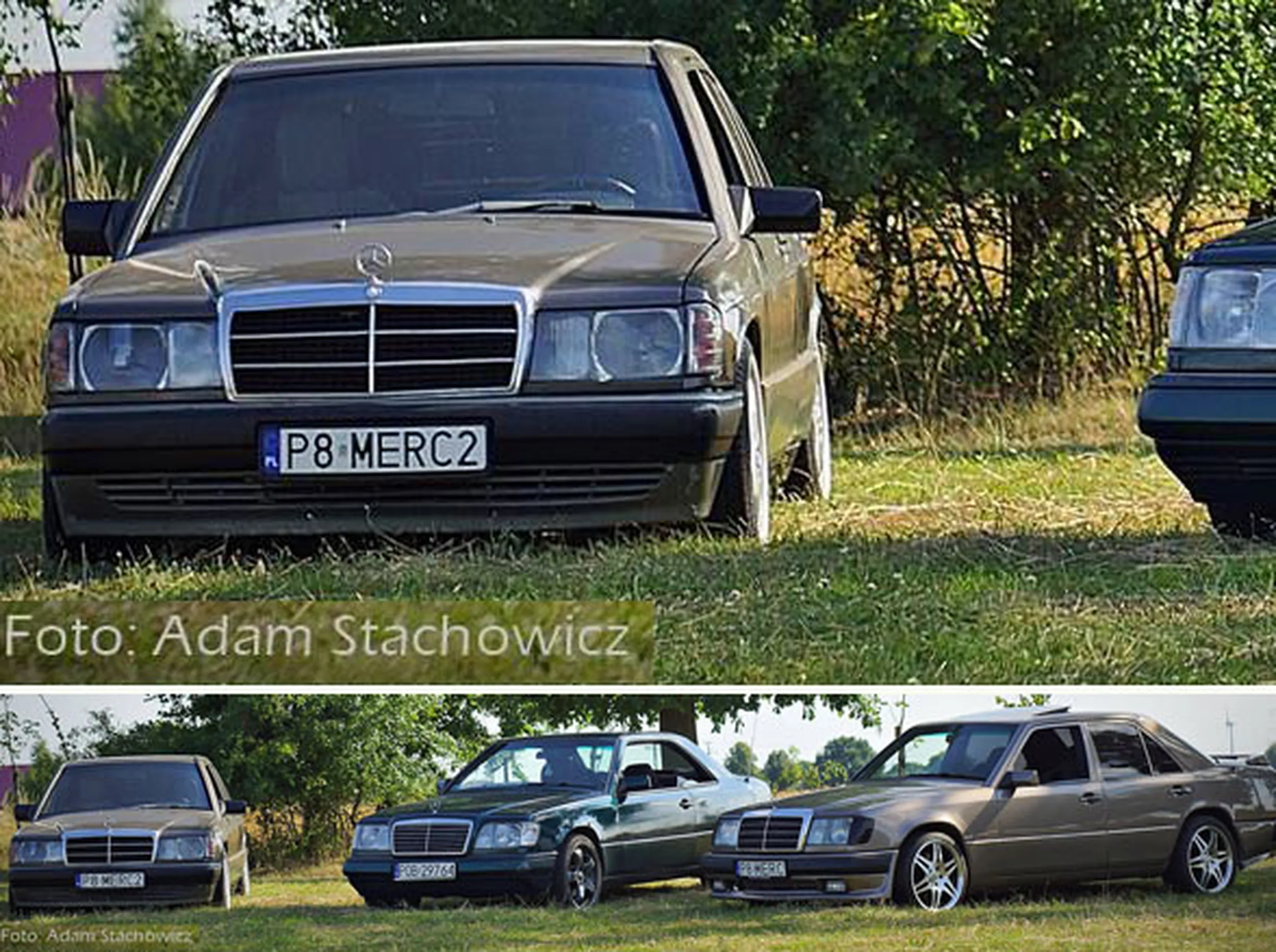 Fajny numer, blacha P8 MERC2