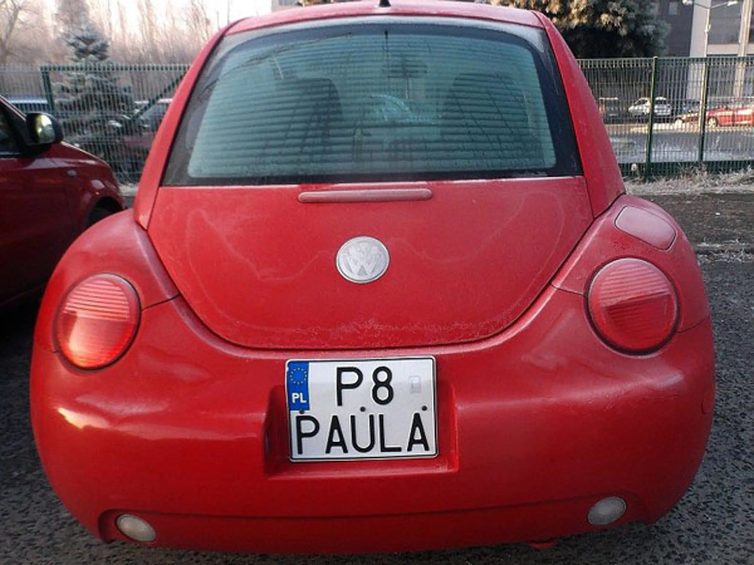 Fajny numer, blacha P8 PAULA
