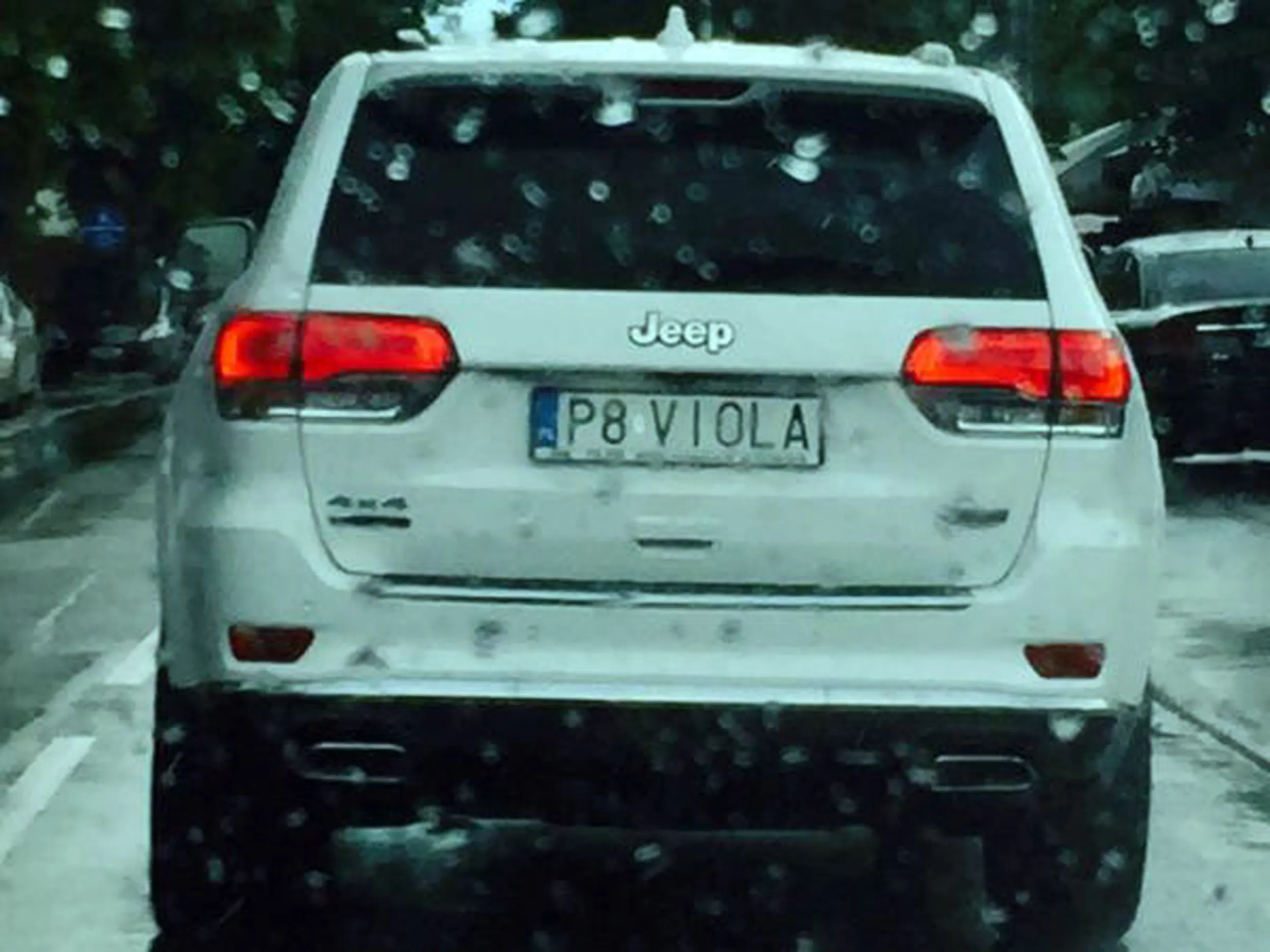 Fajny numer, blacha P8 VIOLA