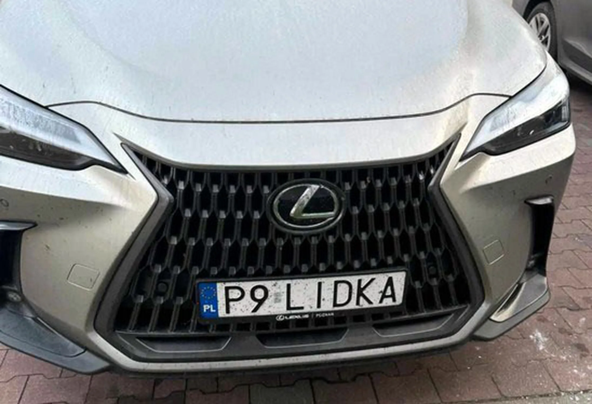 Fajny numer, blacha P9 LIDKA