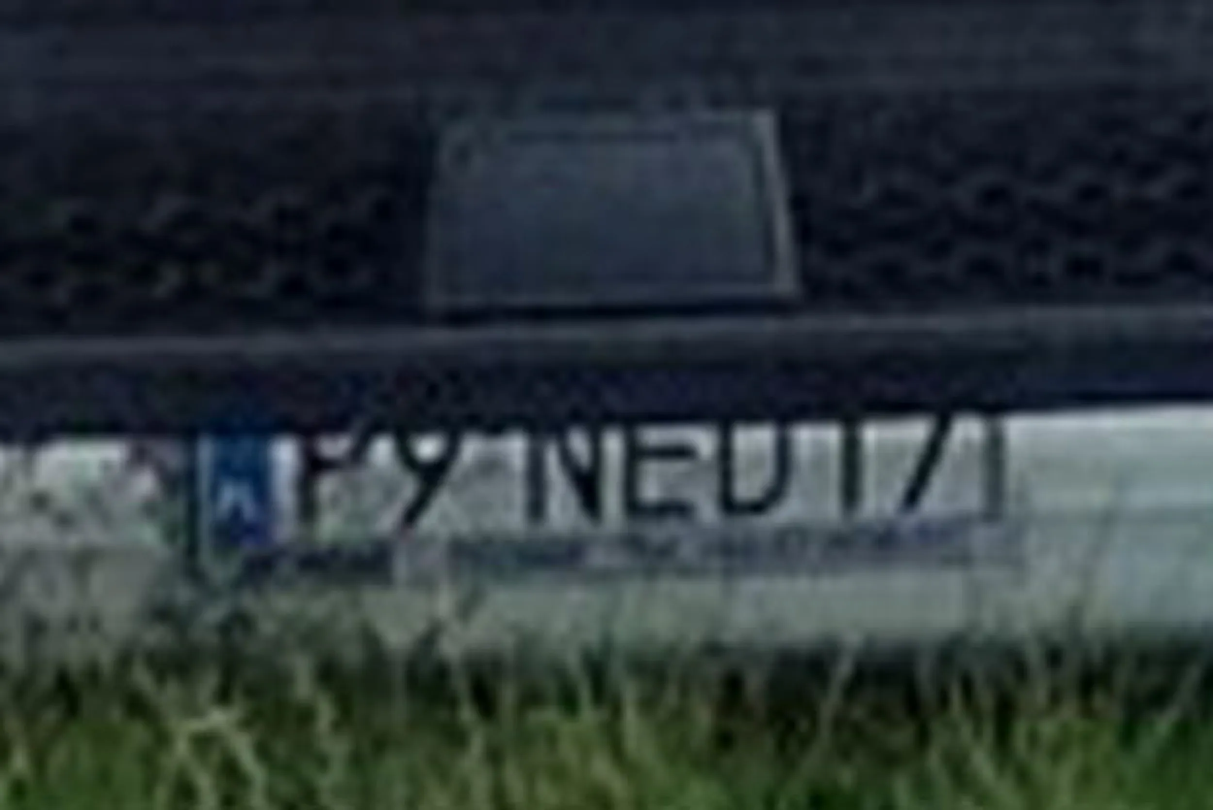 Fajny numer, blacha P9 NED17