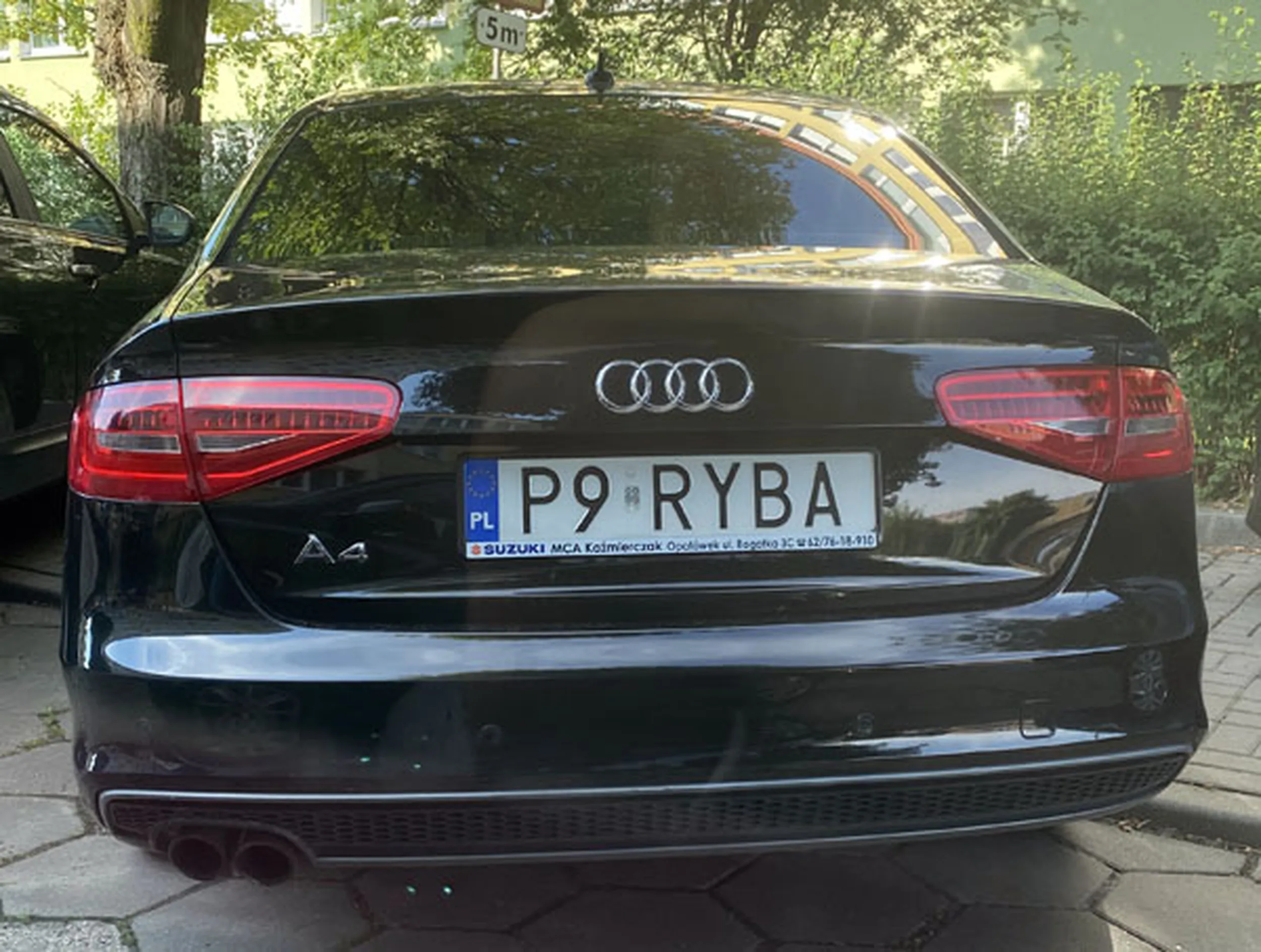 Fajny numer, blacha P9 RYBA