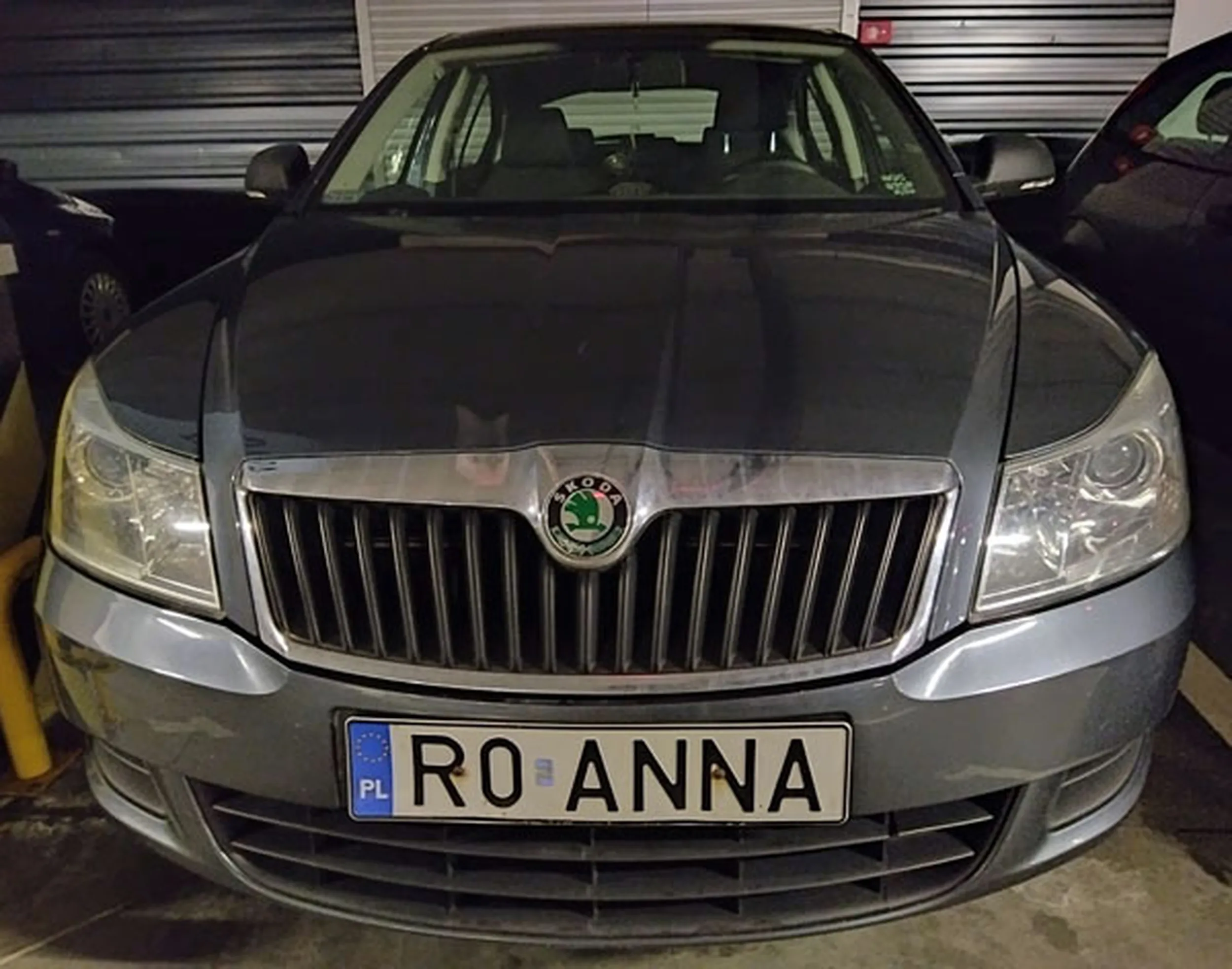 Fajny numer, blacha R0 ANNA