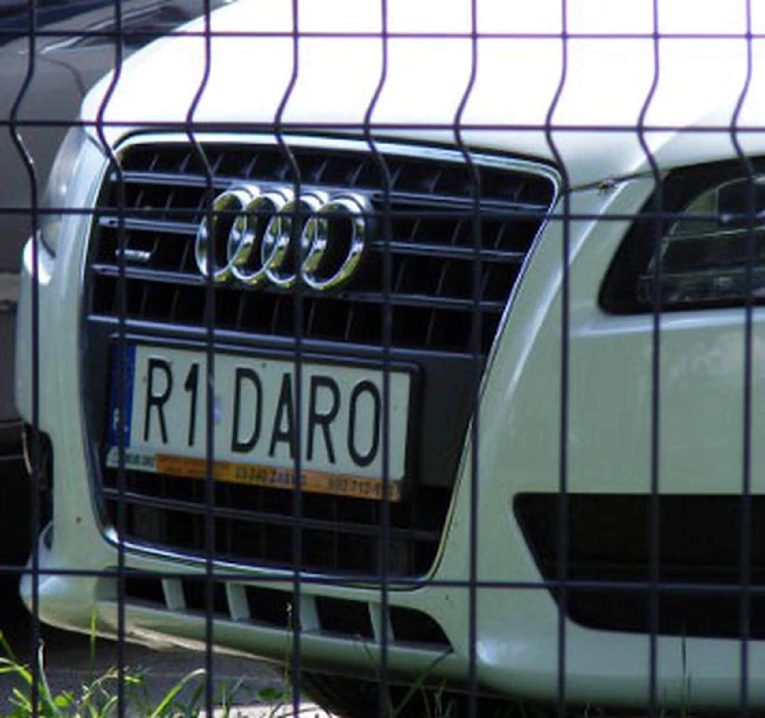 Fajny numer, blacha R1 DARO