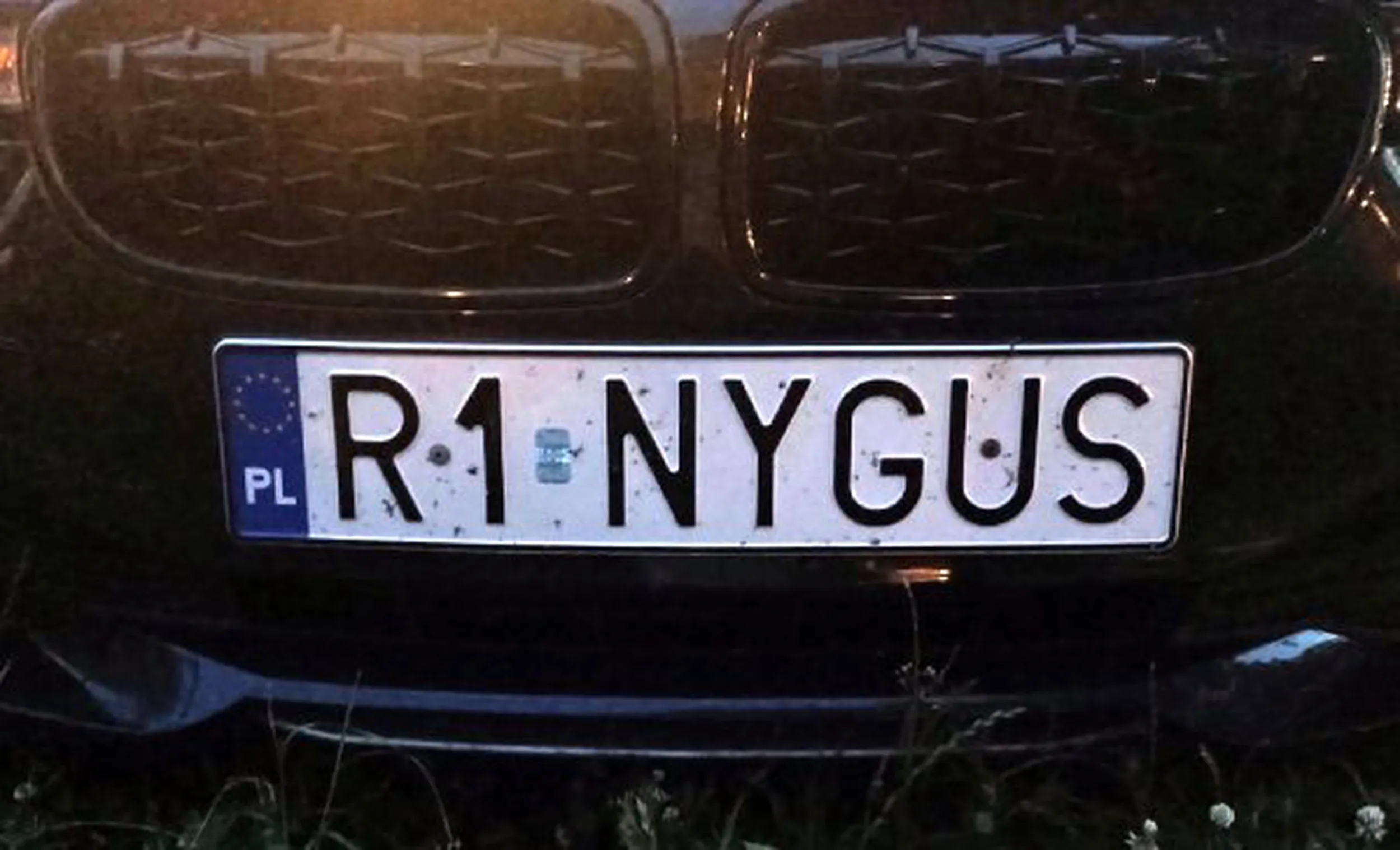 Fajny numer, blacha R1 NYGUS