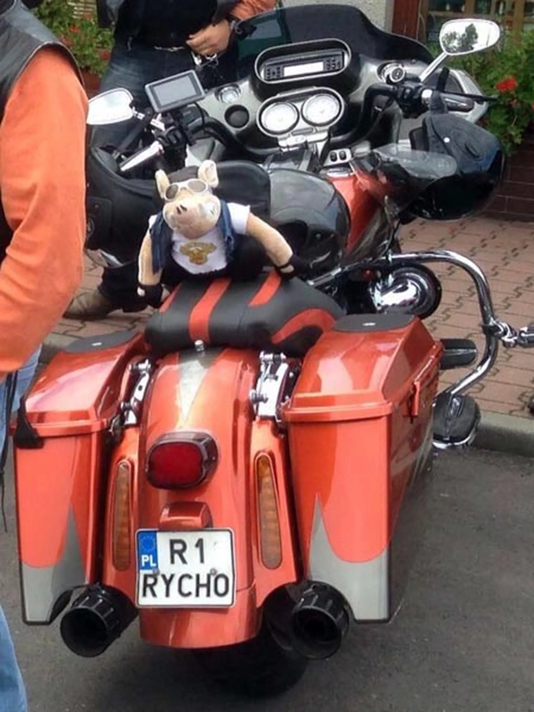 Fajny numer, blacha R1 RYCHO