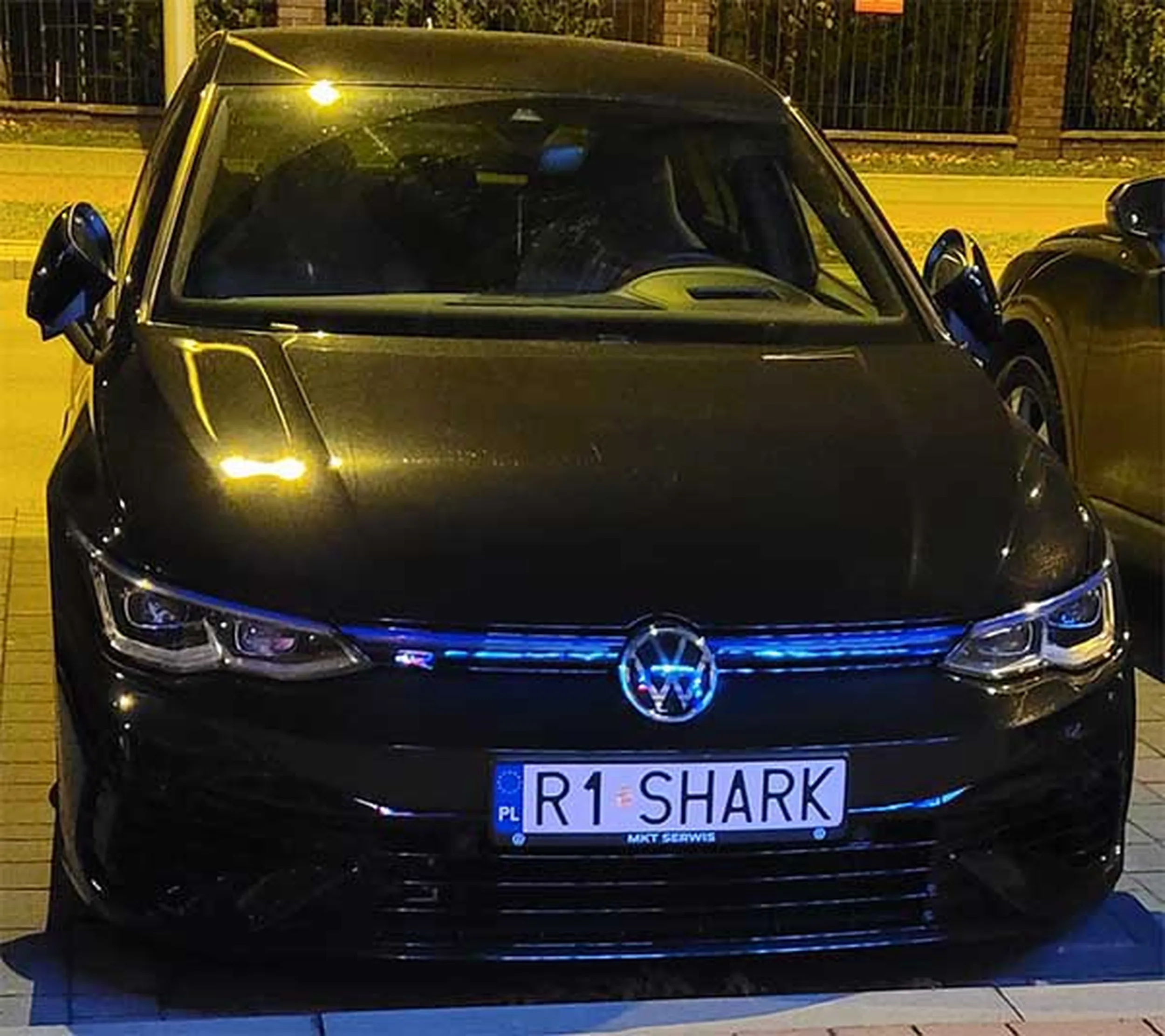 Fajny numer, blacha R1 SHARK