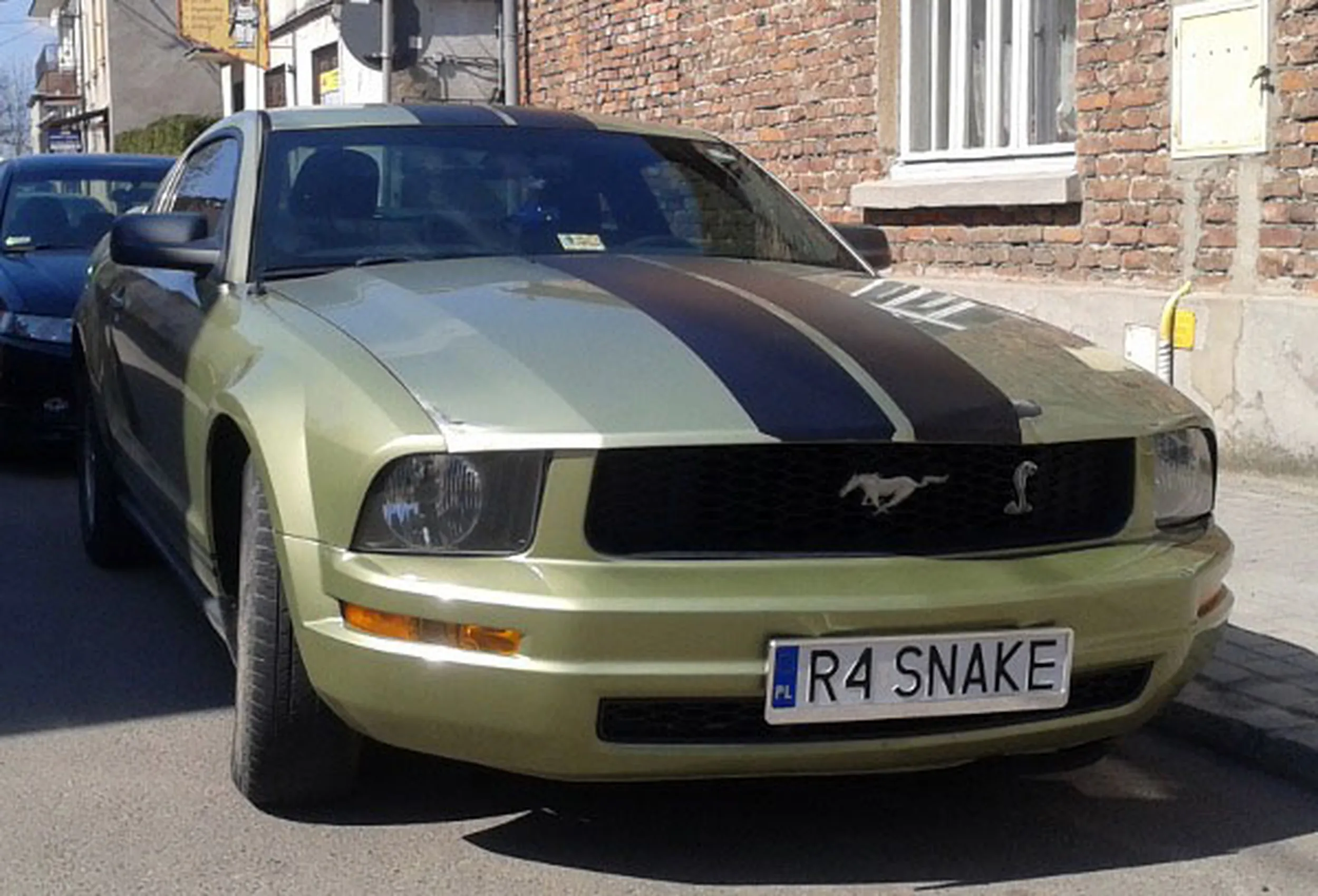 Fajny numer, blacha R4 SNAKE