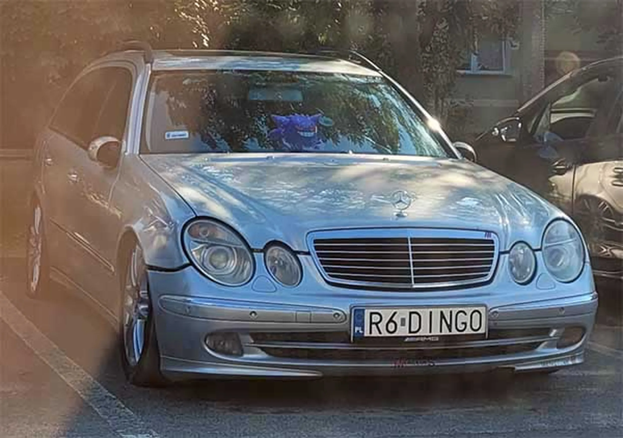 Fajny numer, blacha R6 DINGO