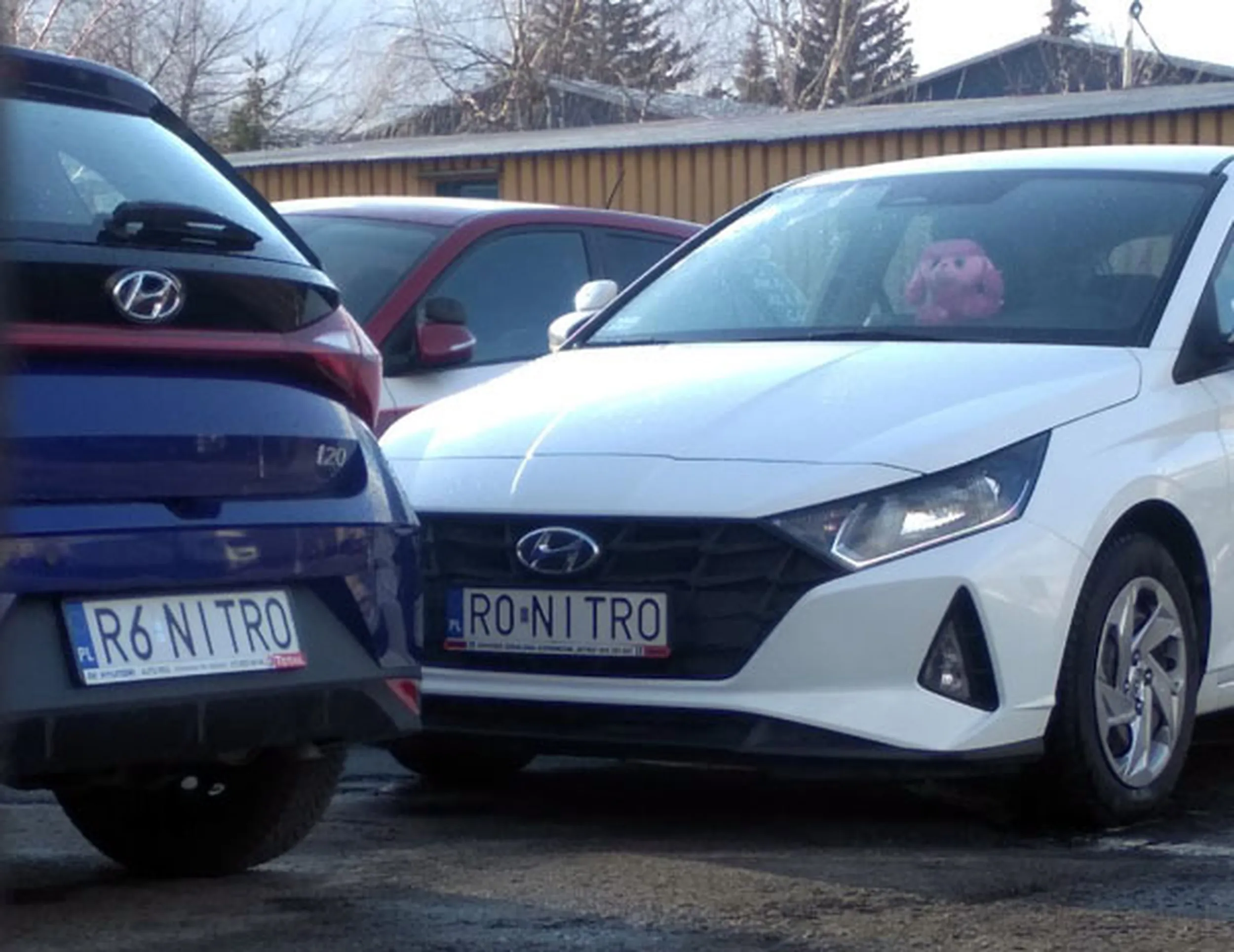 Fajny numer, blacha R6 NITRO