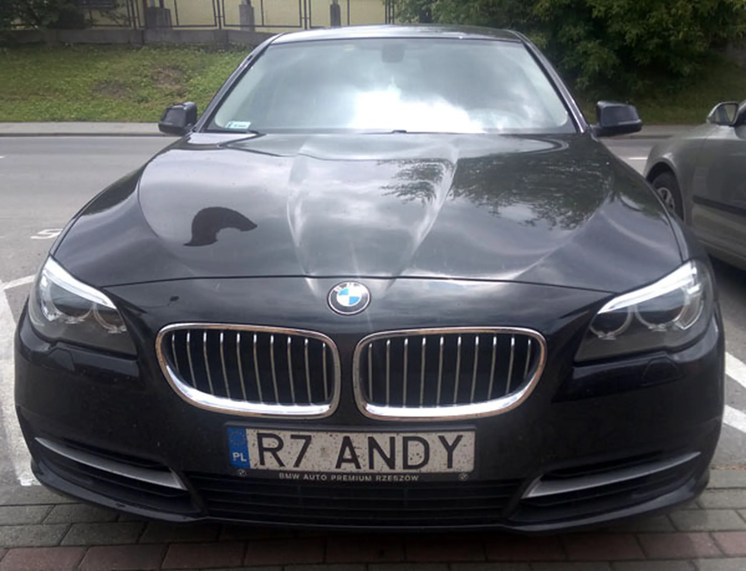 Fajny numer, blacha R7 ANDY