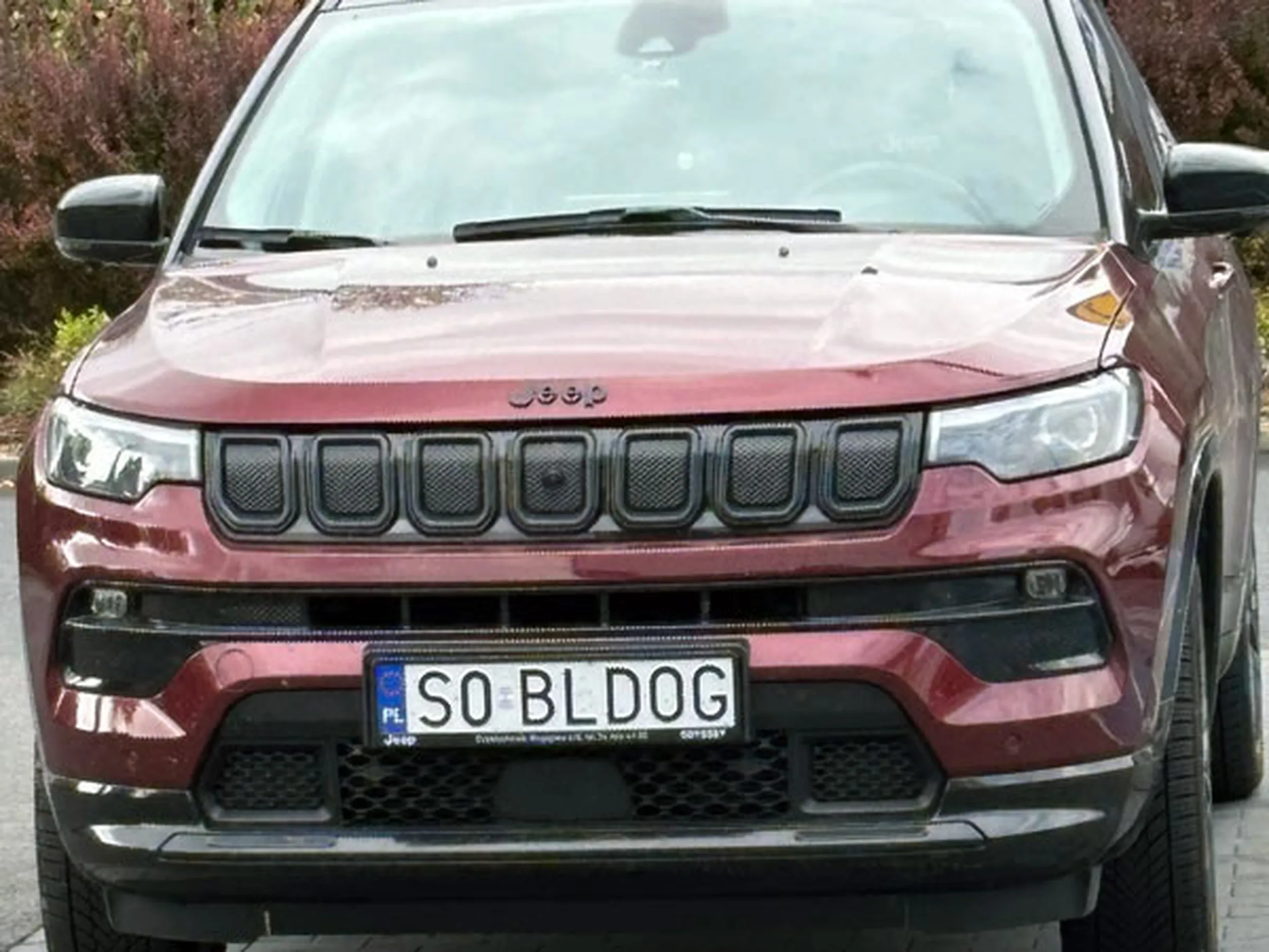 Fajny numer, blacha S0 BLDOG