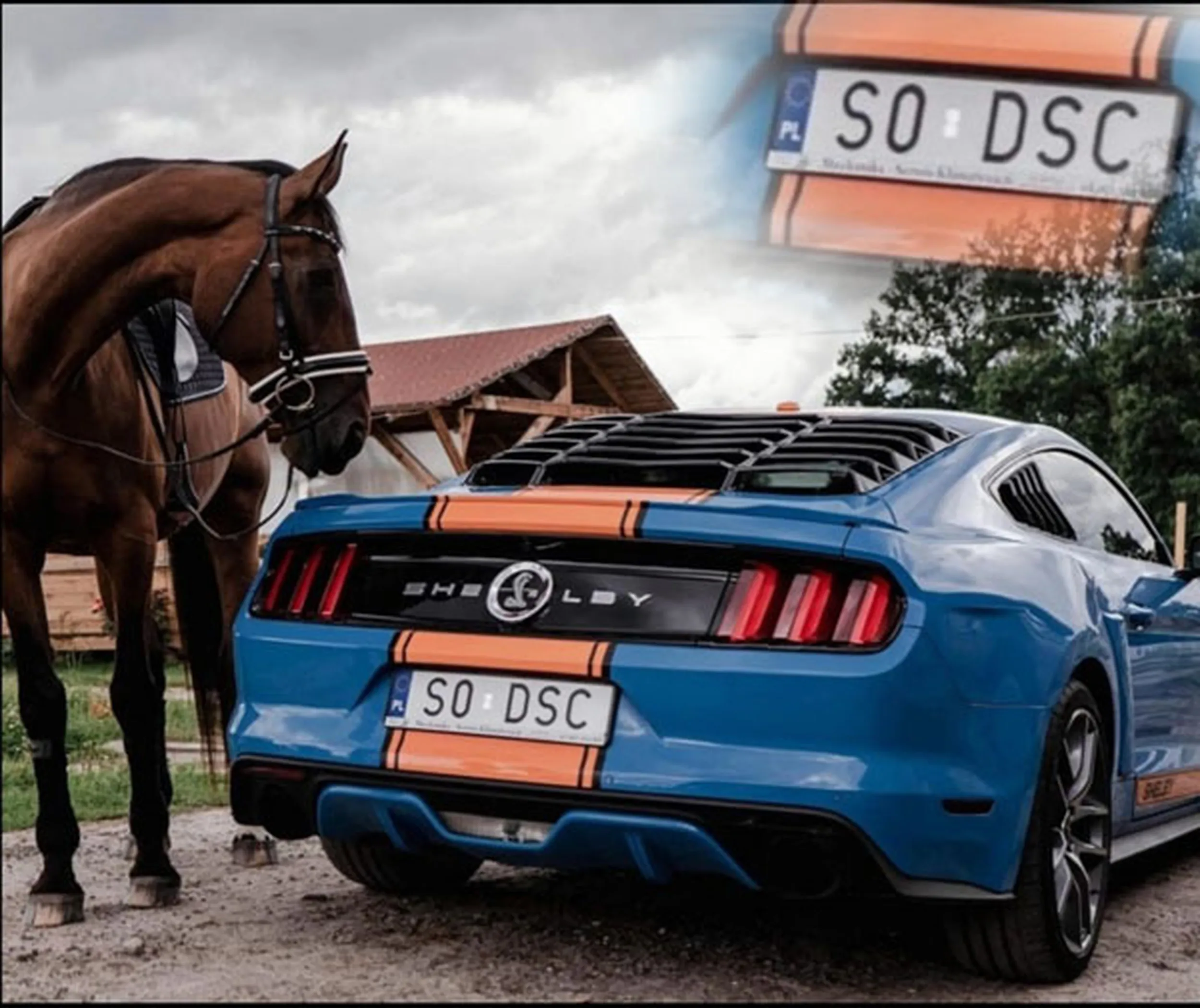 Fajny numer, blacha S0 DSC