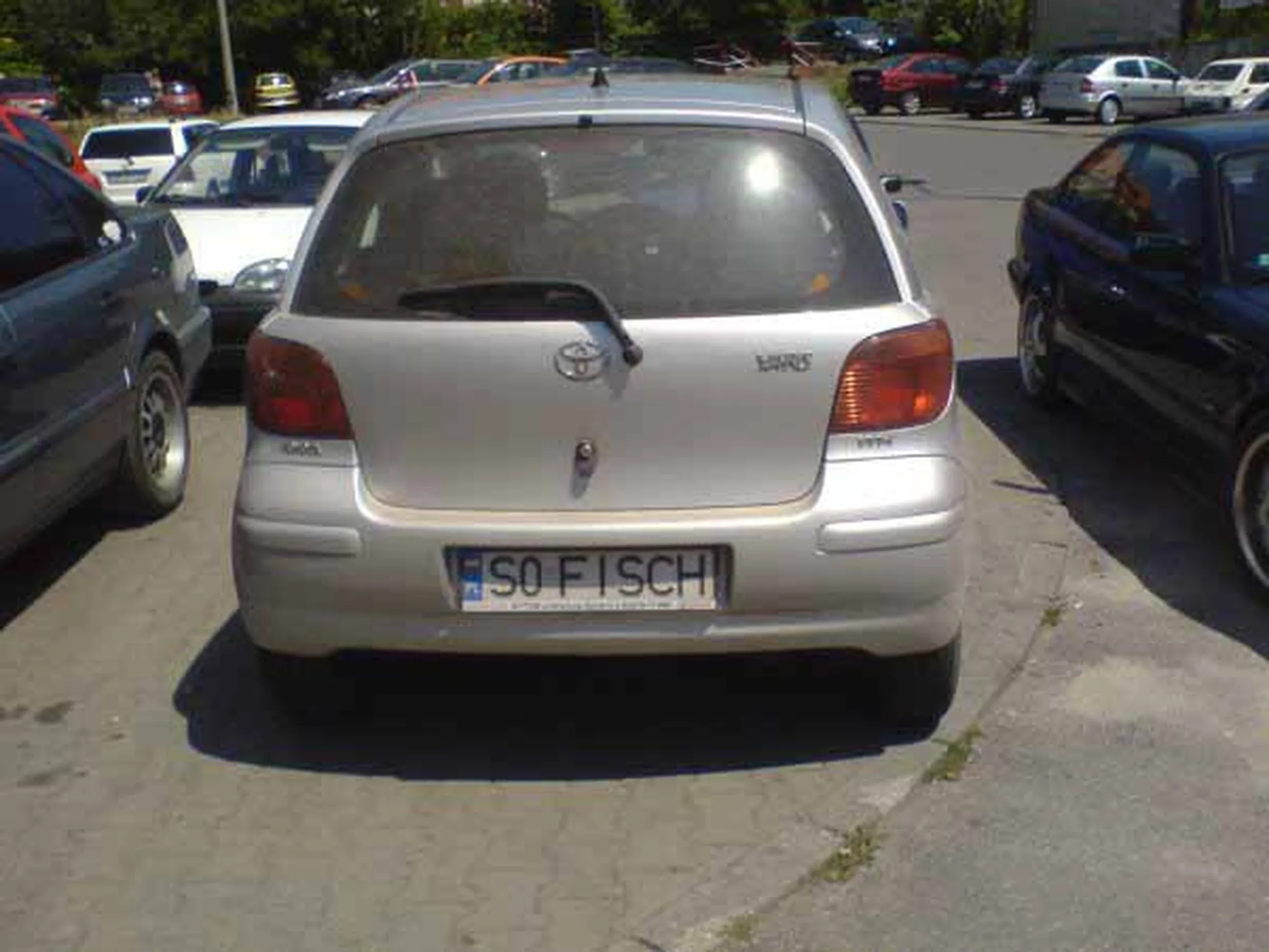 Fajny numer, blacha S0 FISCH