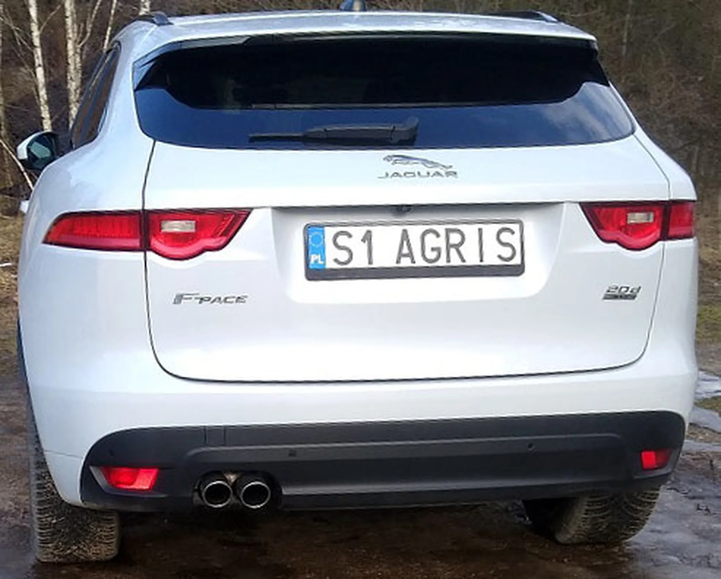 Fajny numer, blacha S1 AGRIS