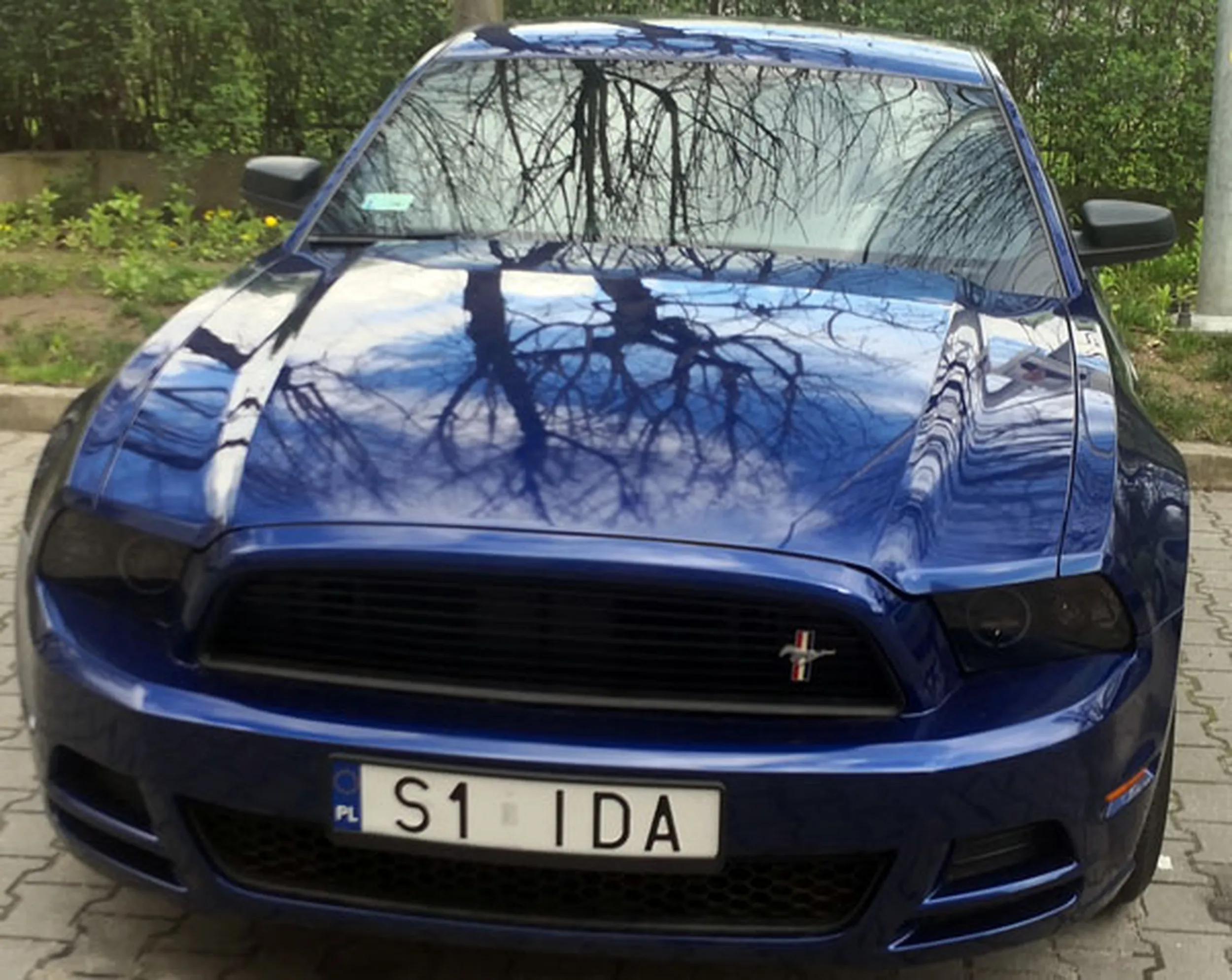 Fajny numer, blacha S1 IDA