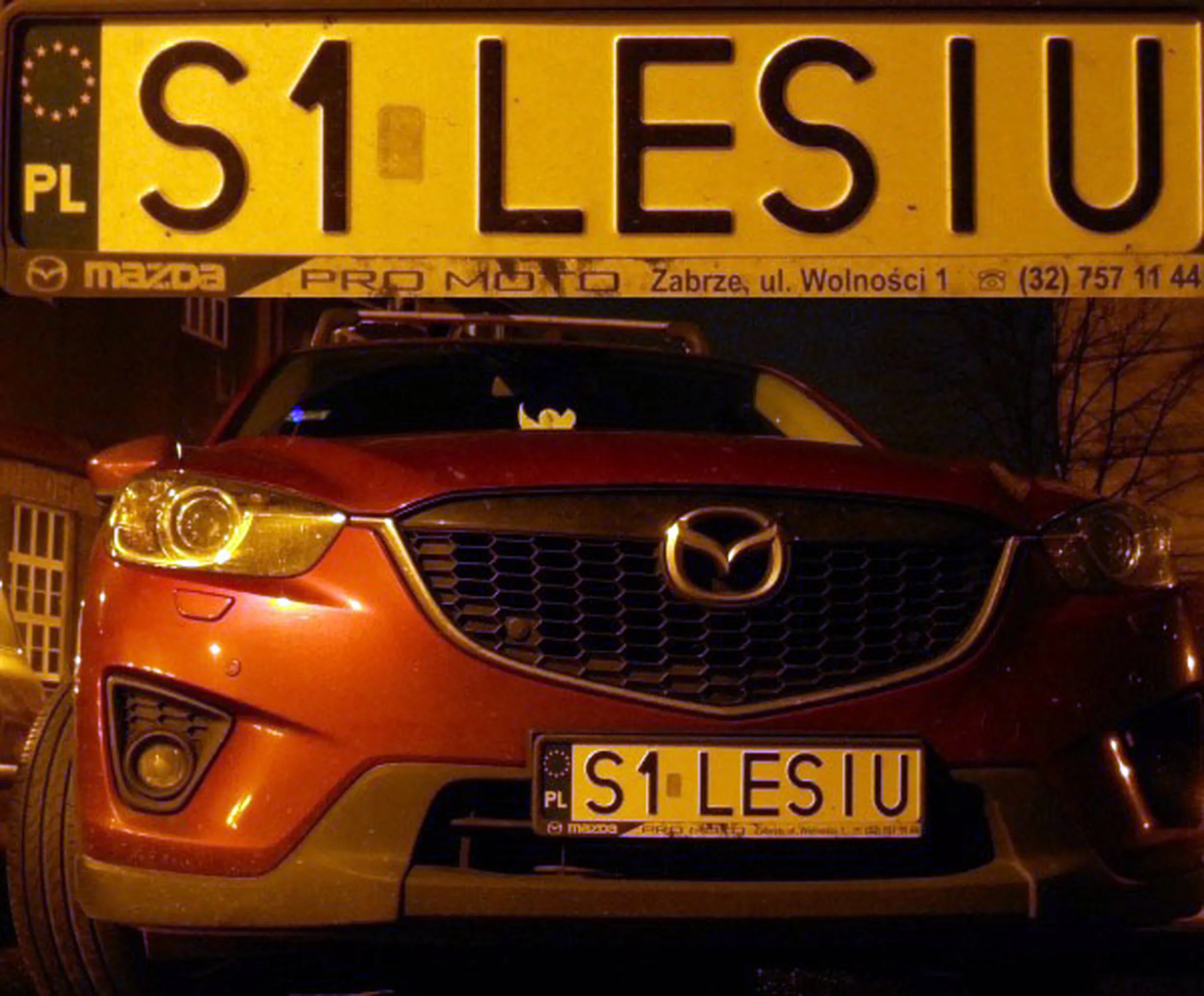 Fajny numer, blacha S1 LESIU