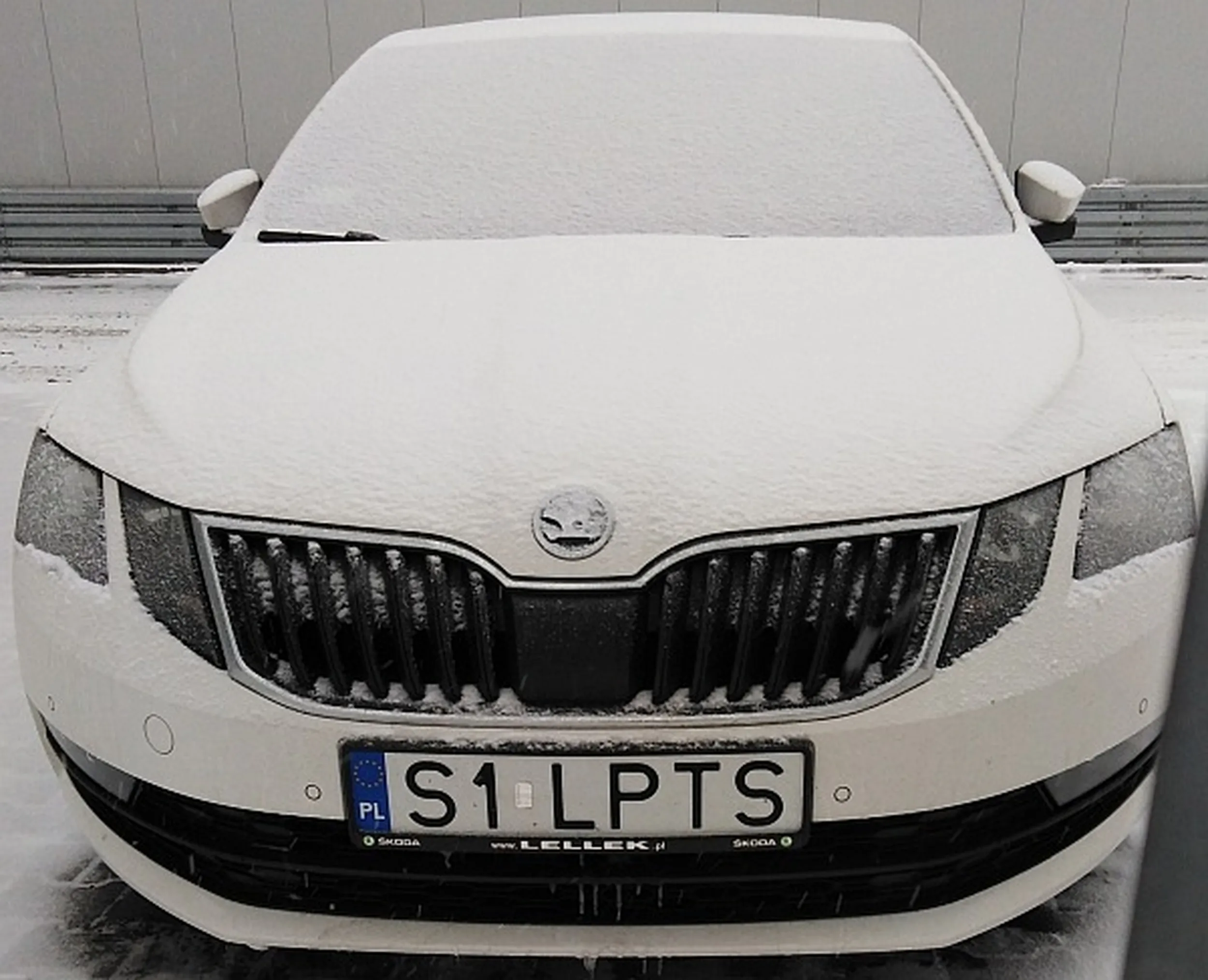 Fajny numer, blacha S1 LPTS