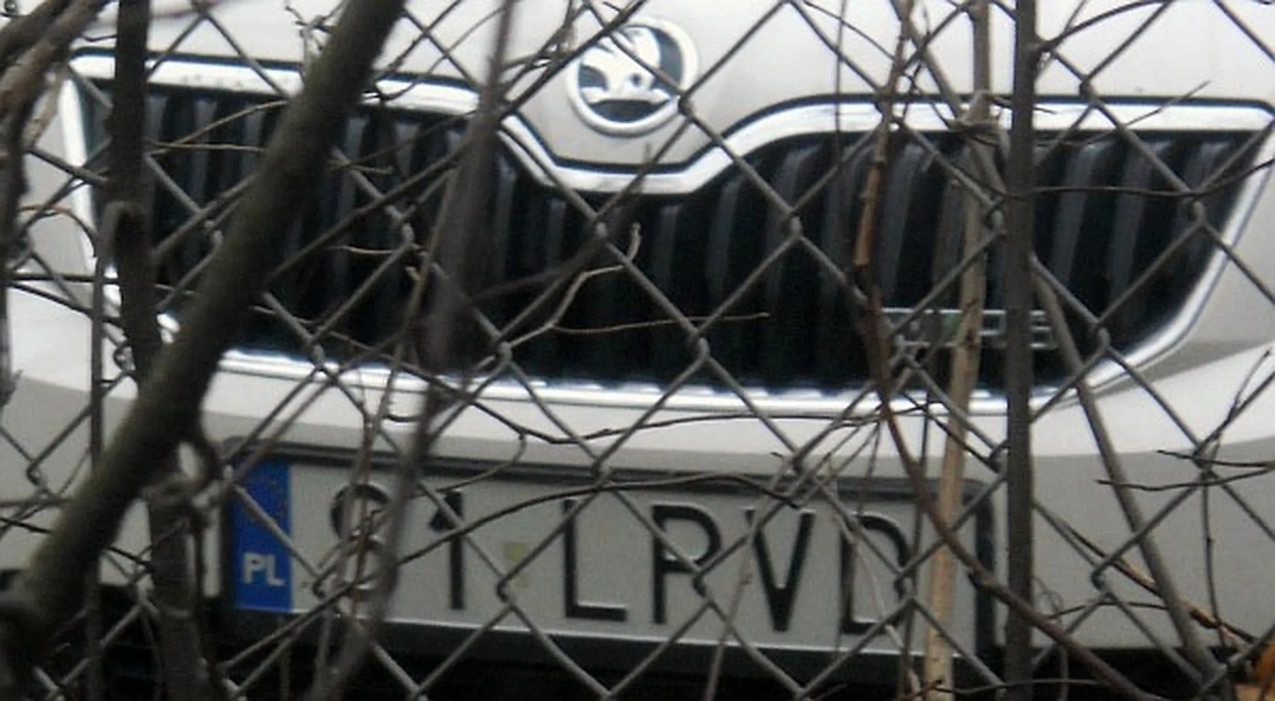 Fajny numer, blacha S1 LPVD