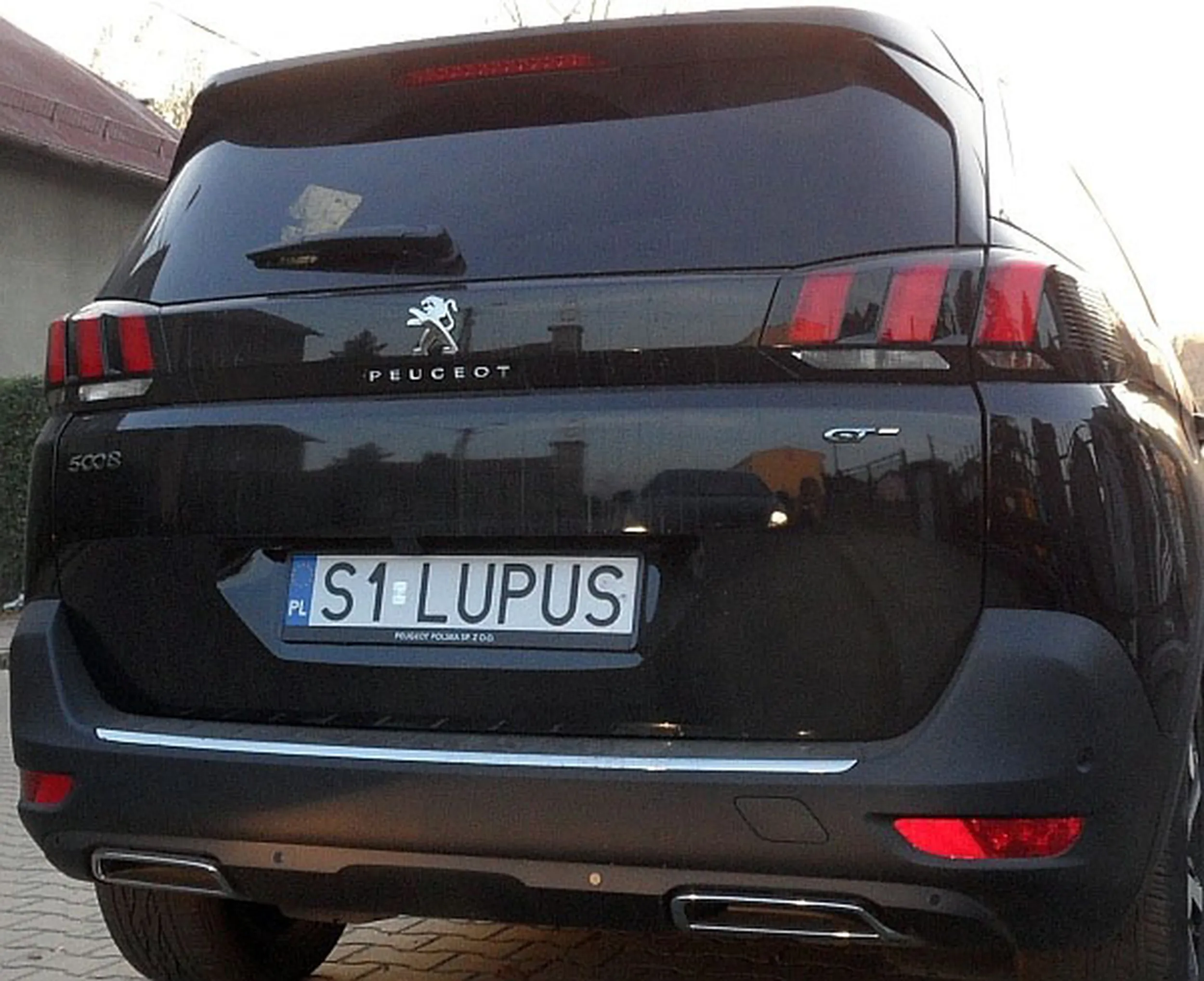 Fajny numer, blacha S1 LUPUS