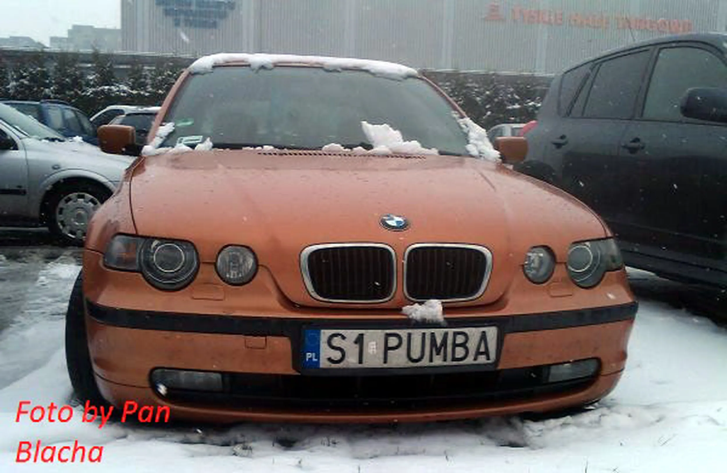 Fajny numer, blacha S1 PUMBA