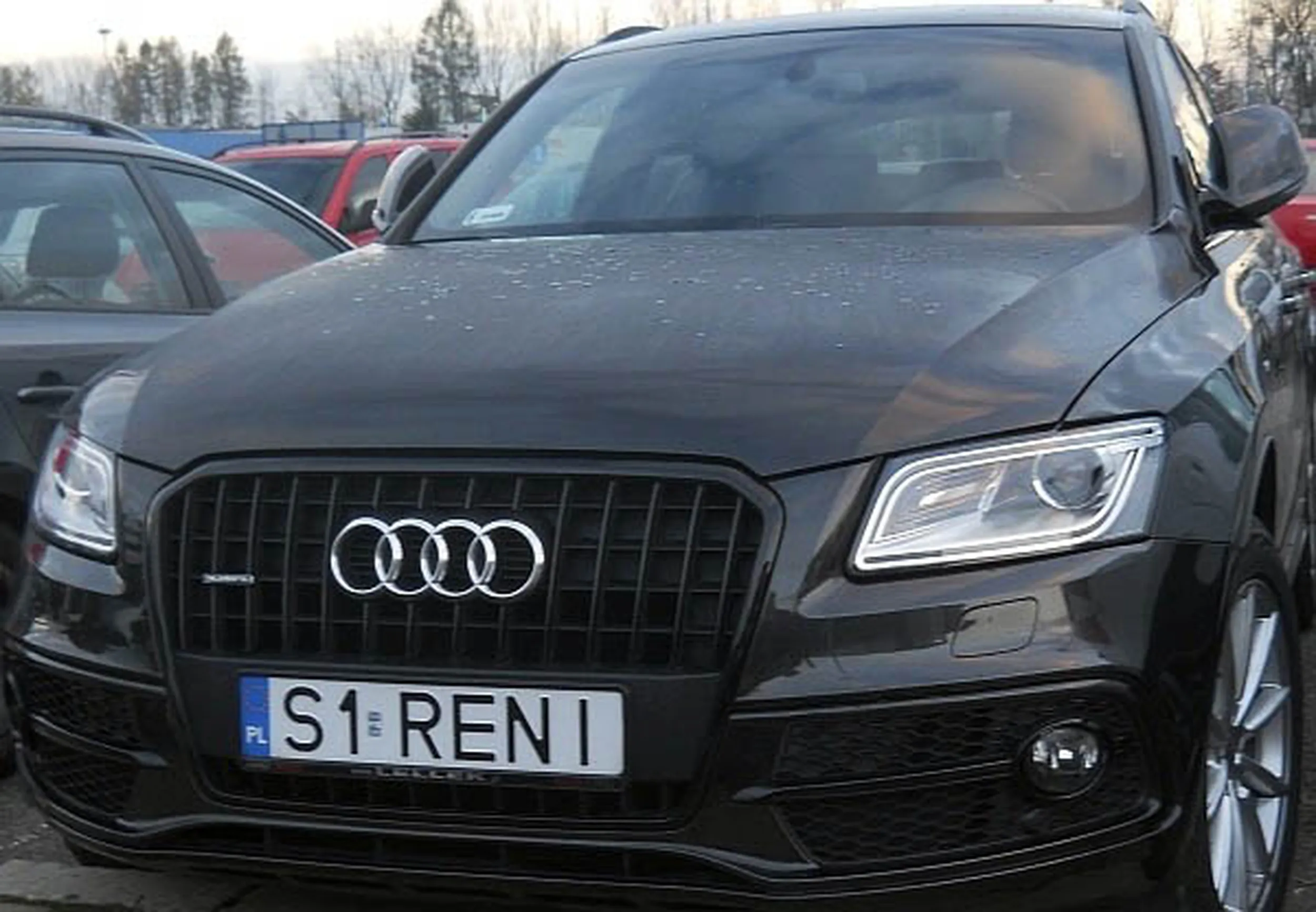 Fajny numer, blacha S1 RENI