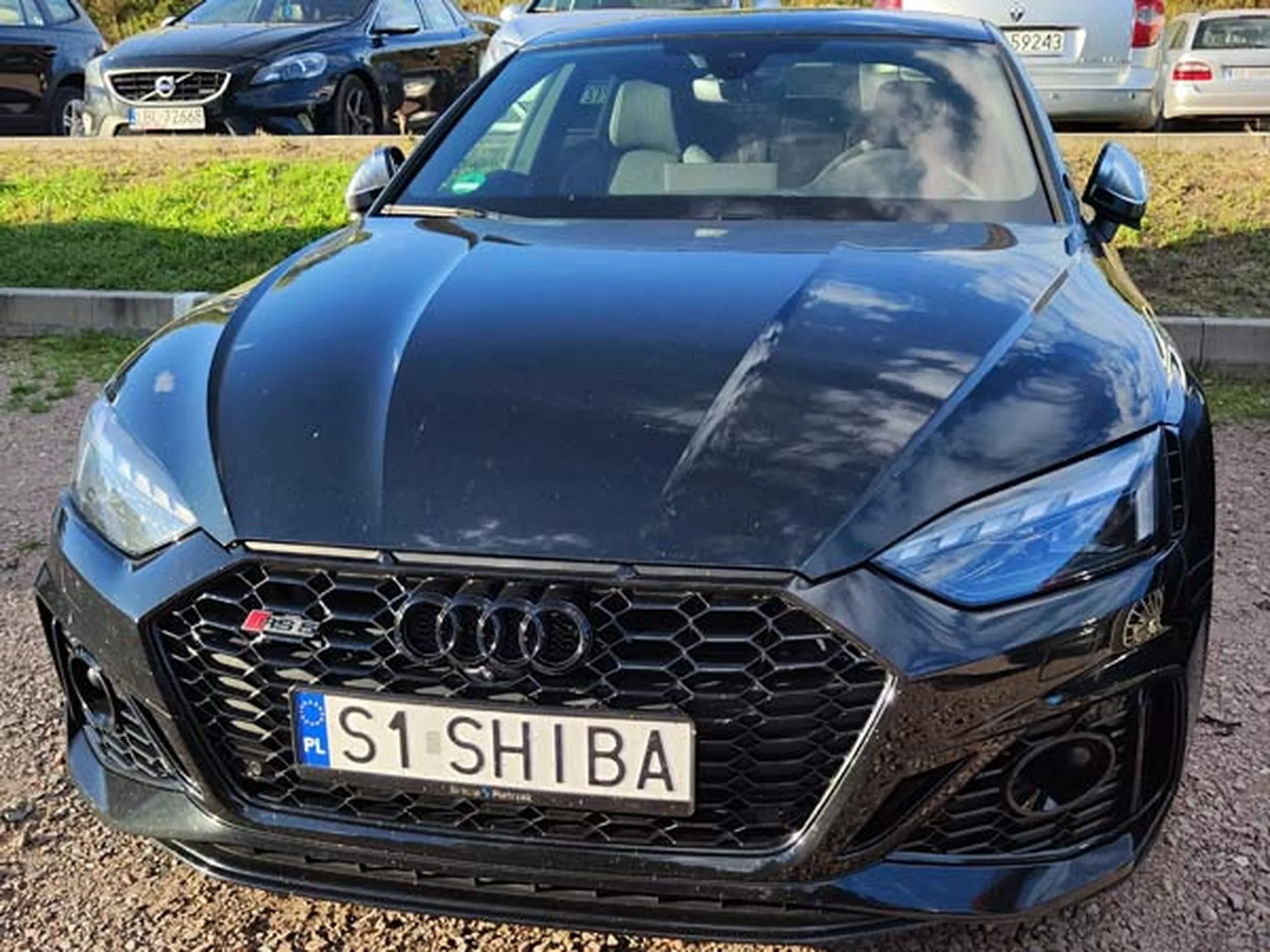 Fajny numer, blacha S1 SHIBA