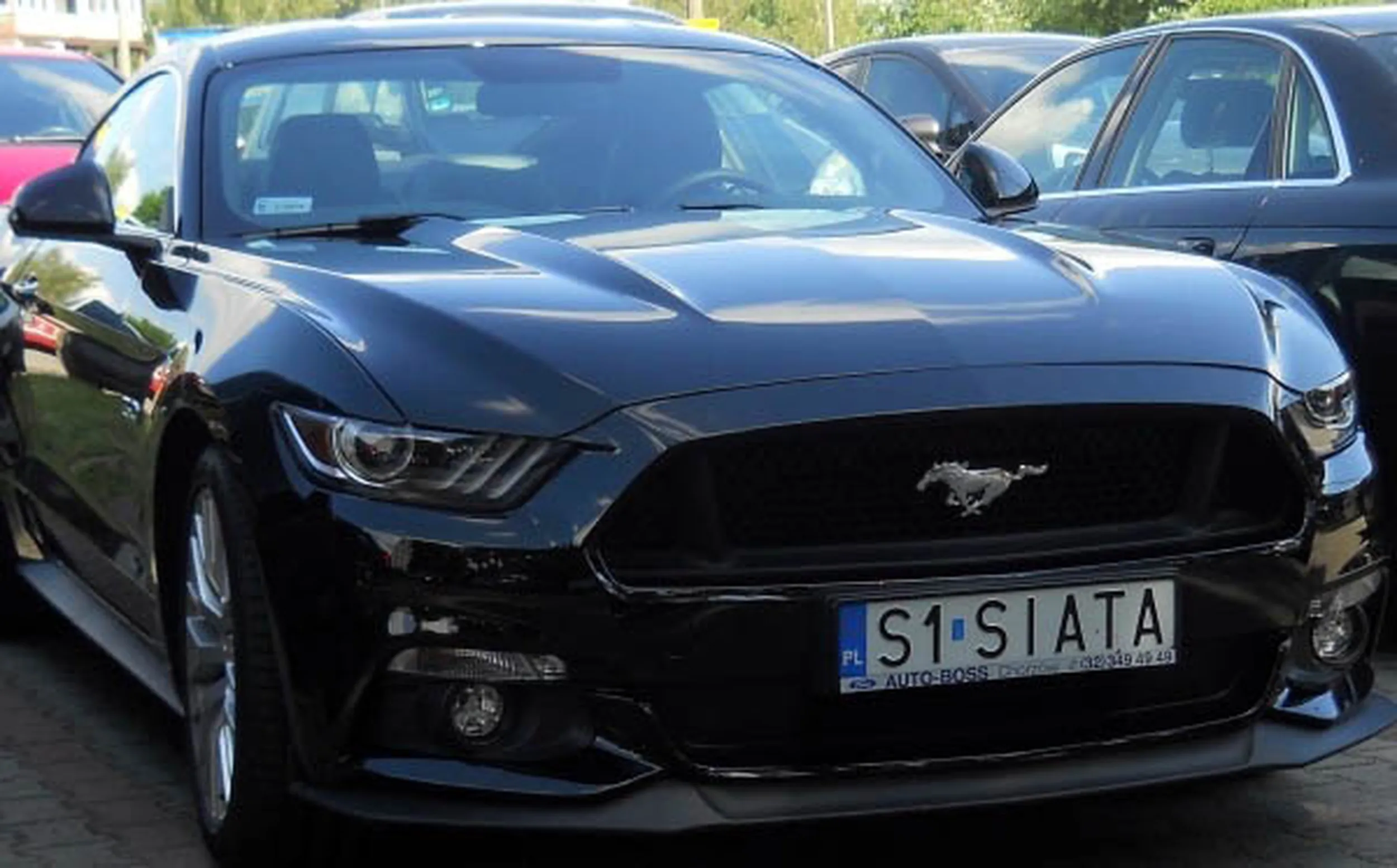 Fajny numer, blacha S1 SIATA