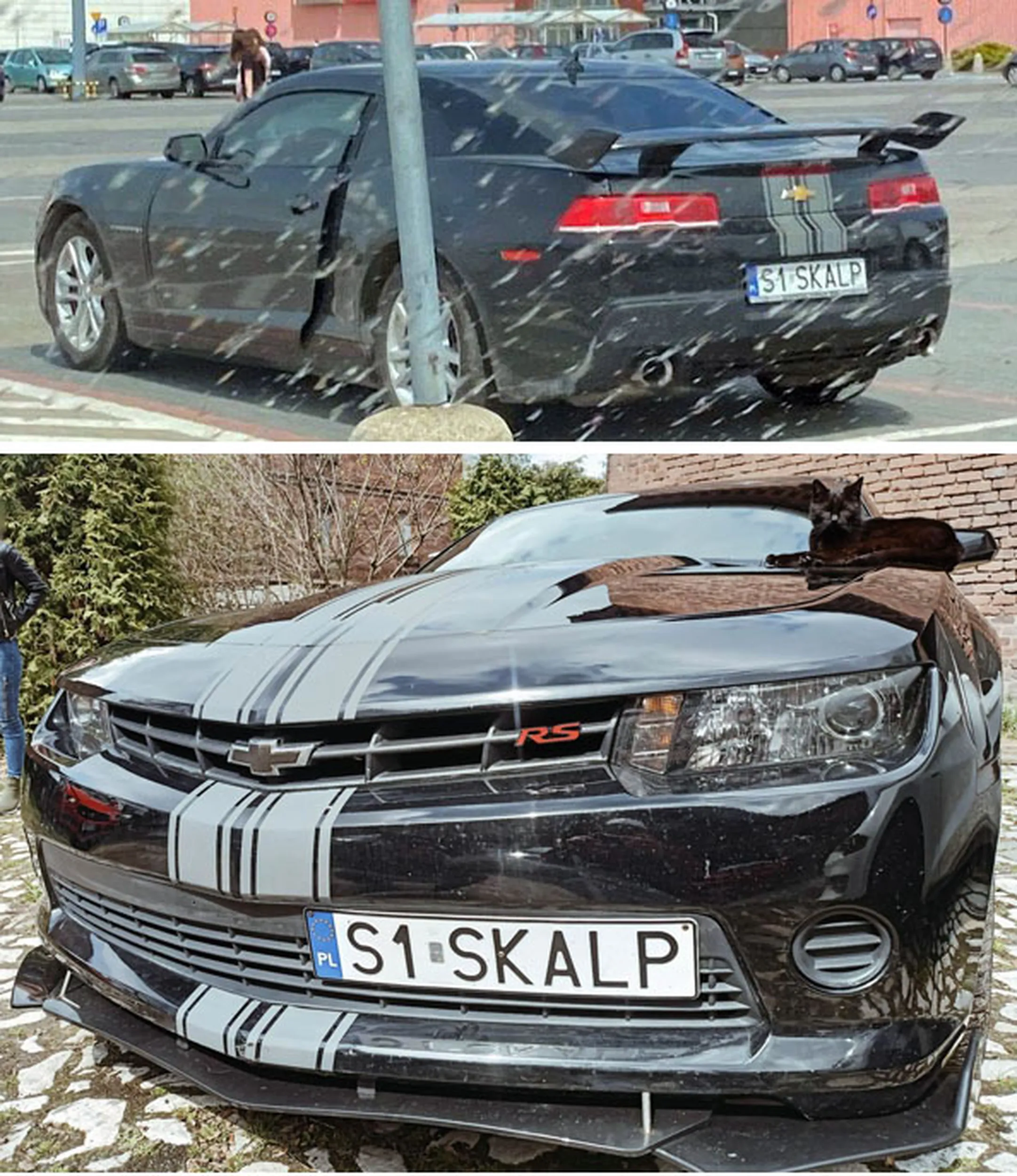 Fajny numer, blacha S1 SKALP