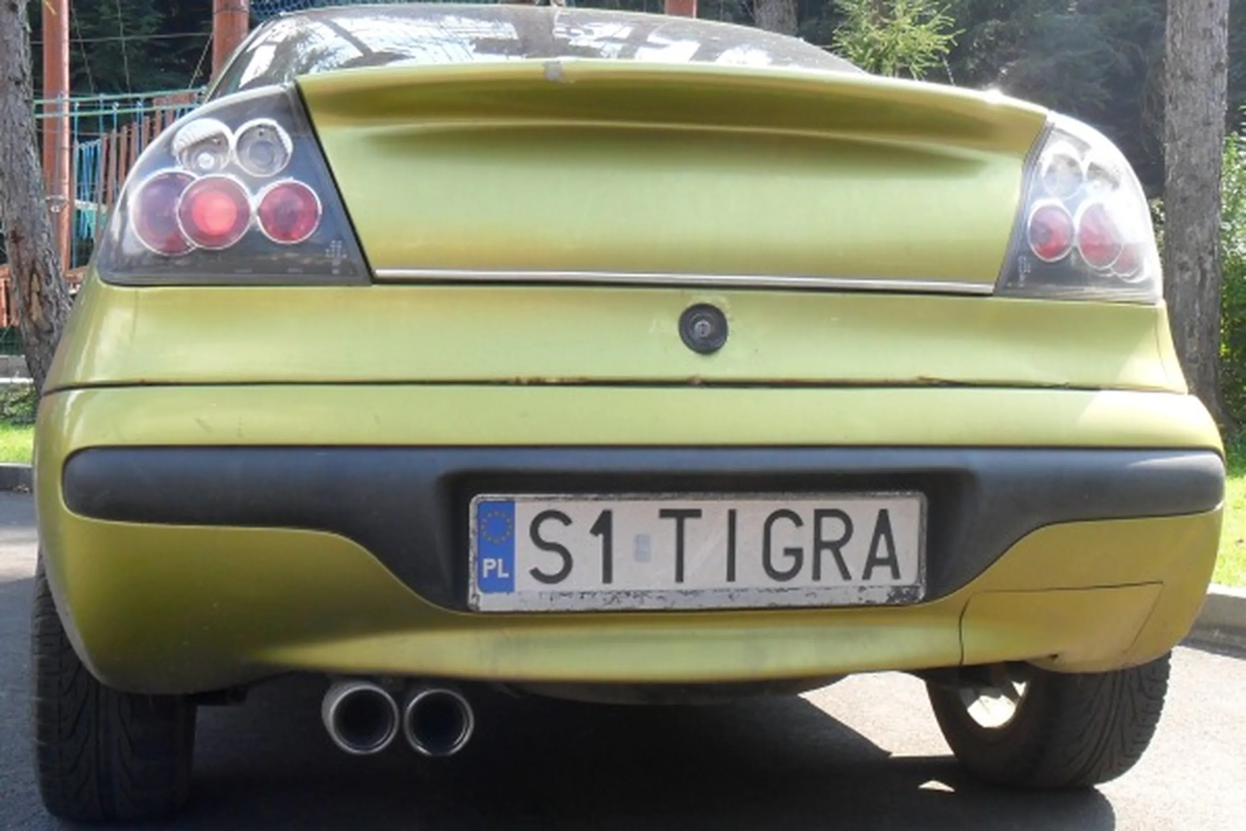 Fajny numer, blacha S1 TIGRA