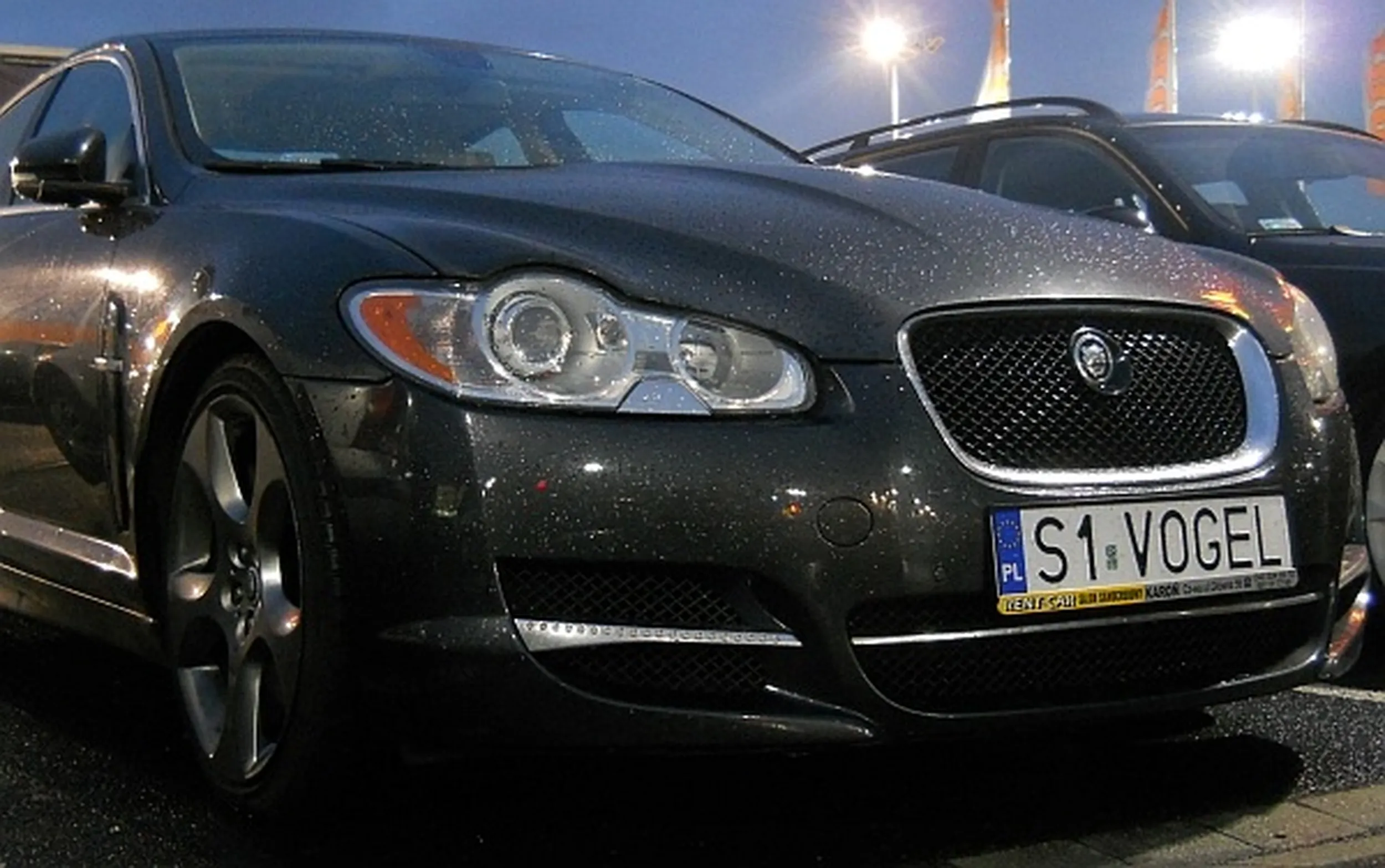 Fajny numer, blacha S1 VOGEL