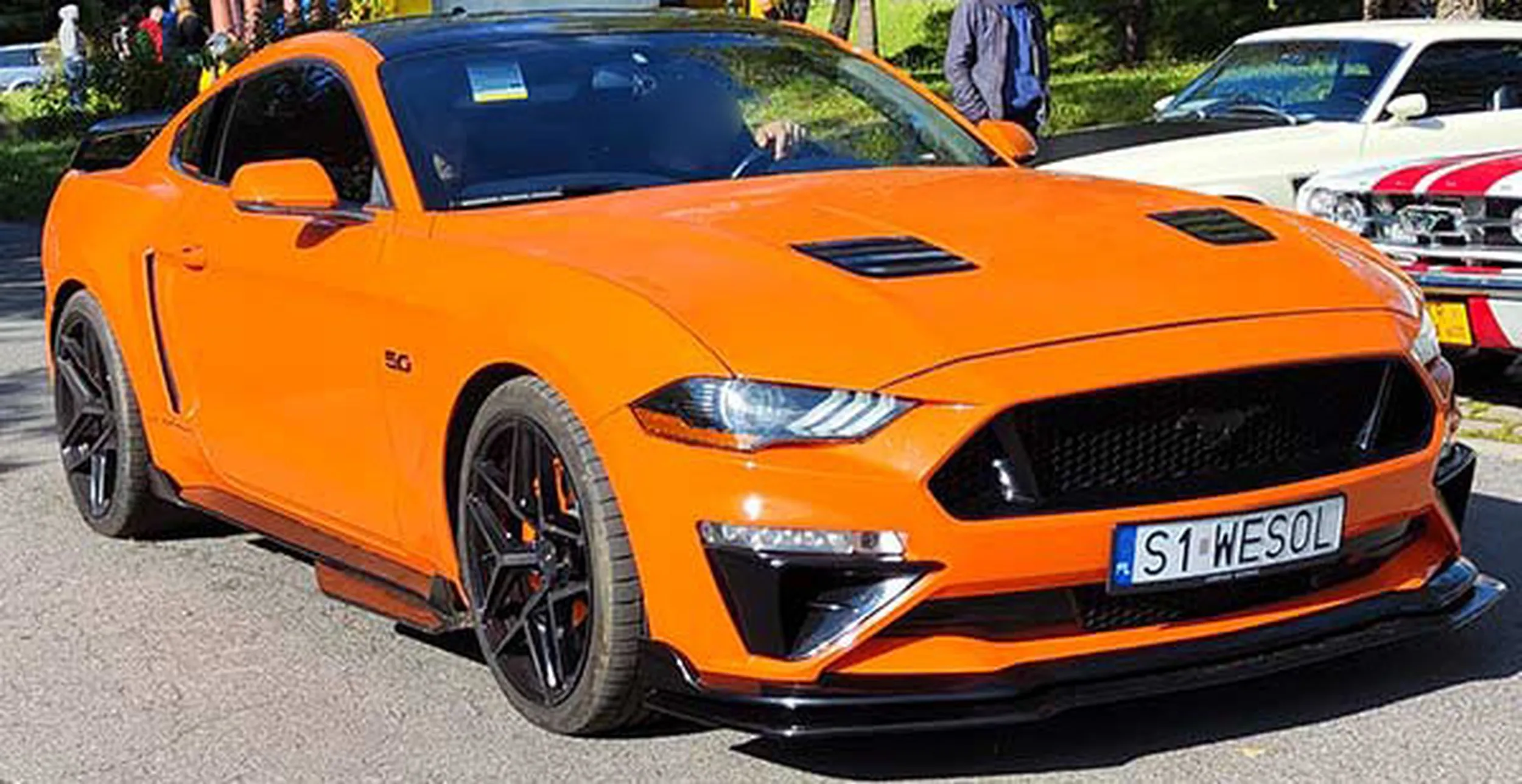 Fajny numer, blacha S1 WESOL