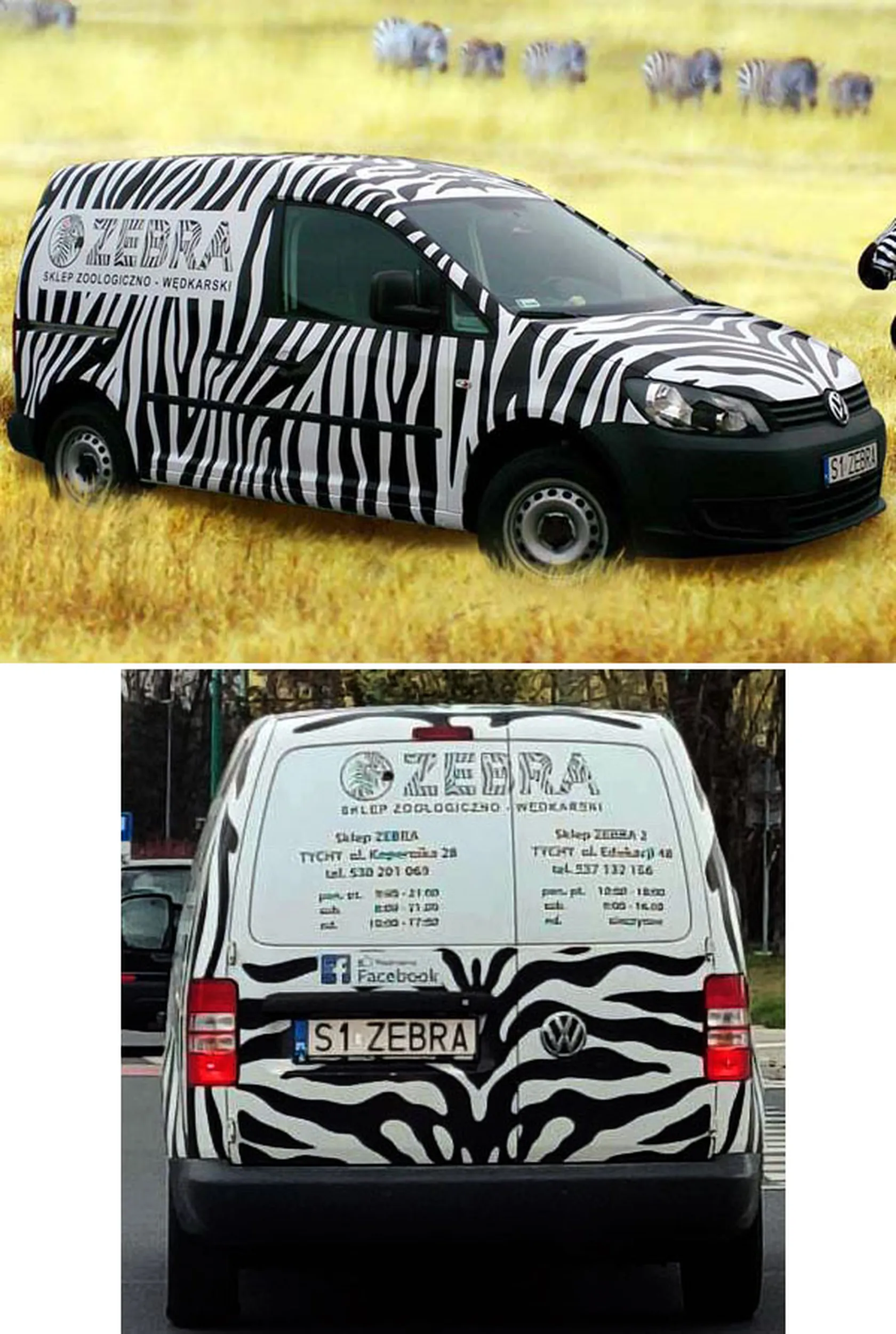 Fajny numer, blacha S1 ZEBRA