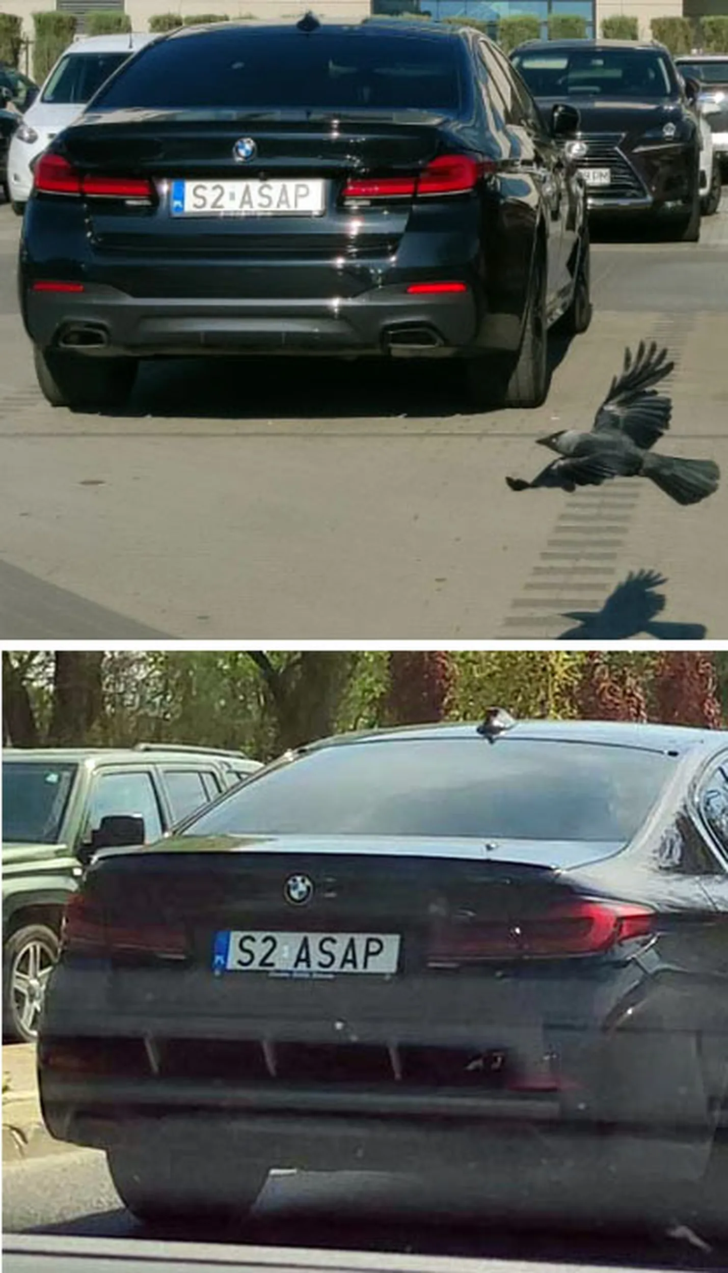 Fajny numer, blacha S2 ASAP