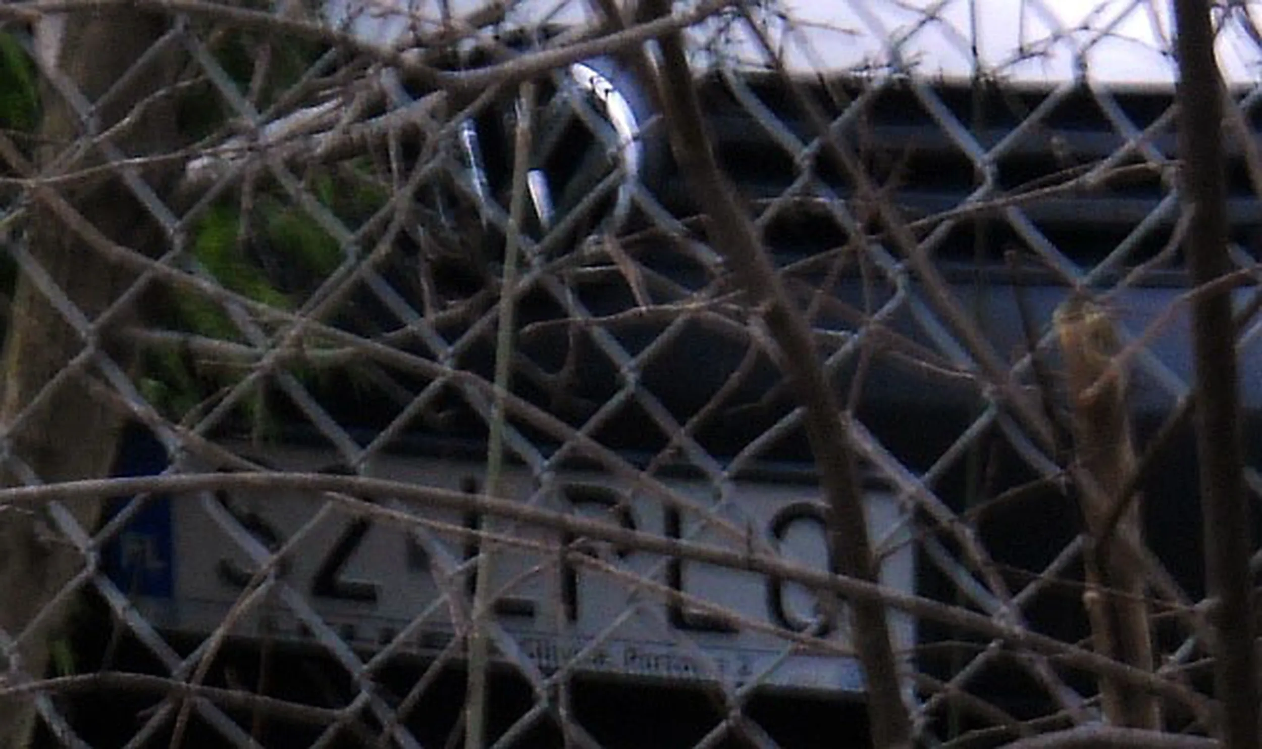 Fajny numer, blacha S2 LPLO