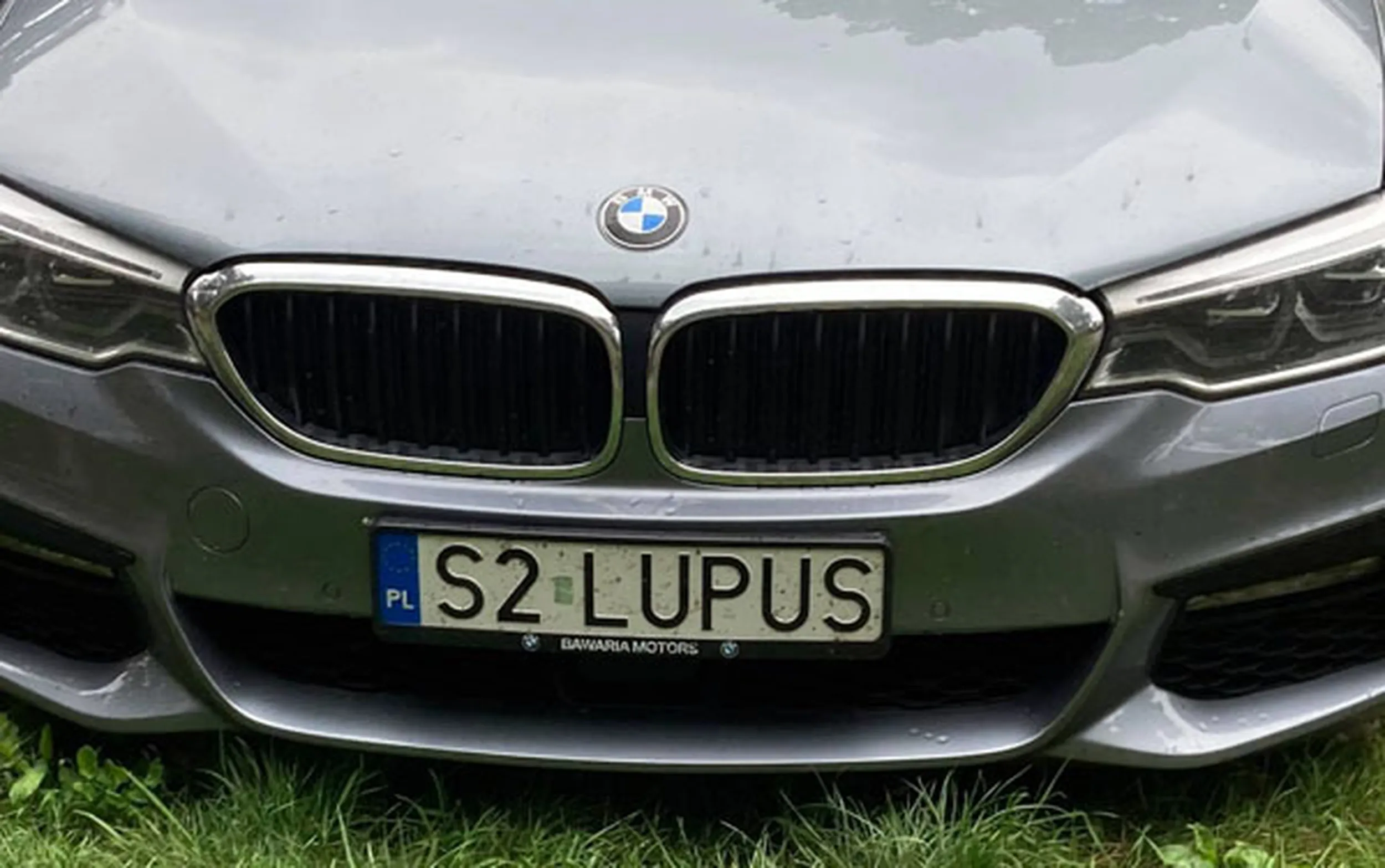 Fajny numer, blacha S2 LUPUS