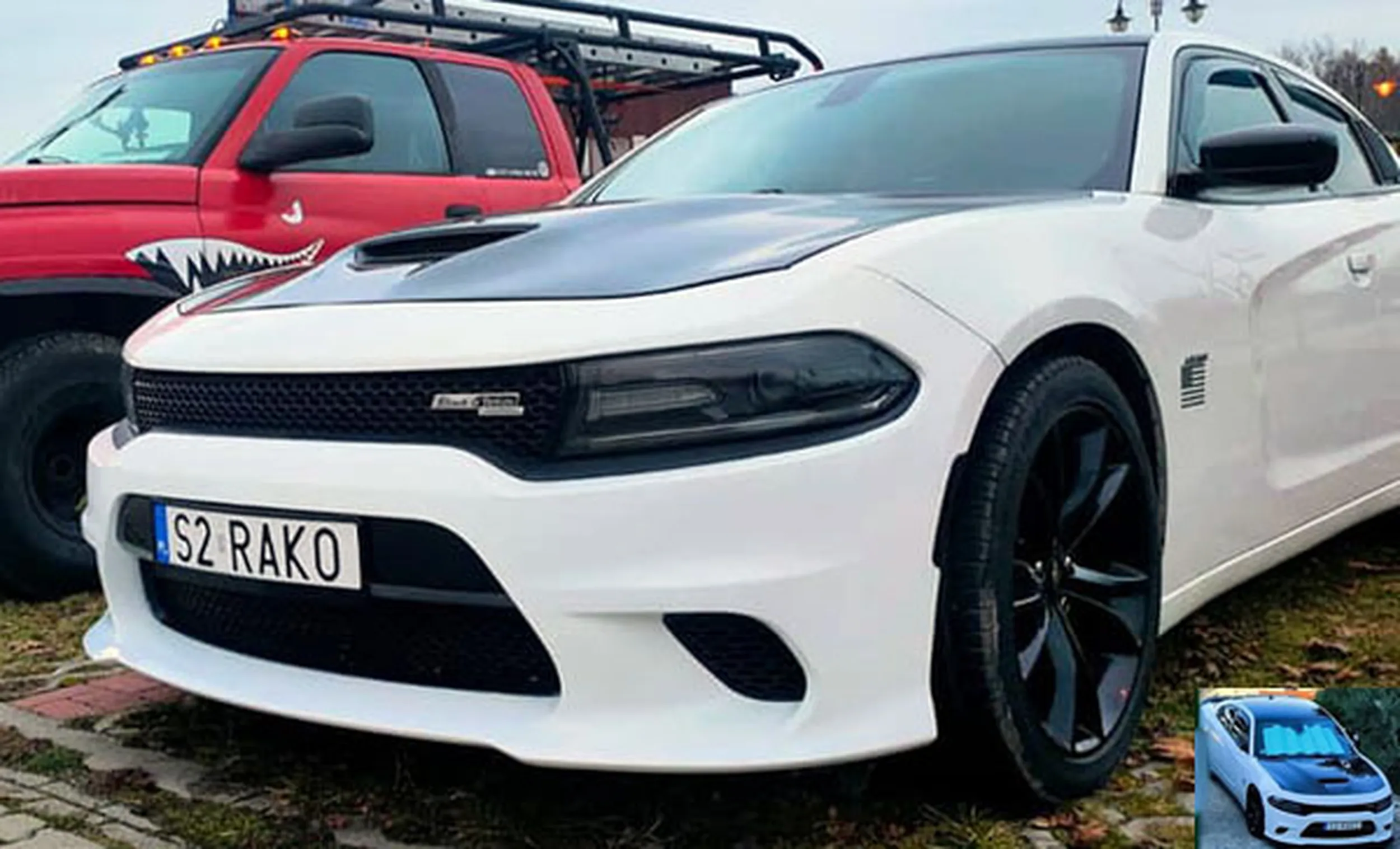 Fajny numer, blacha S2 RAKO