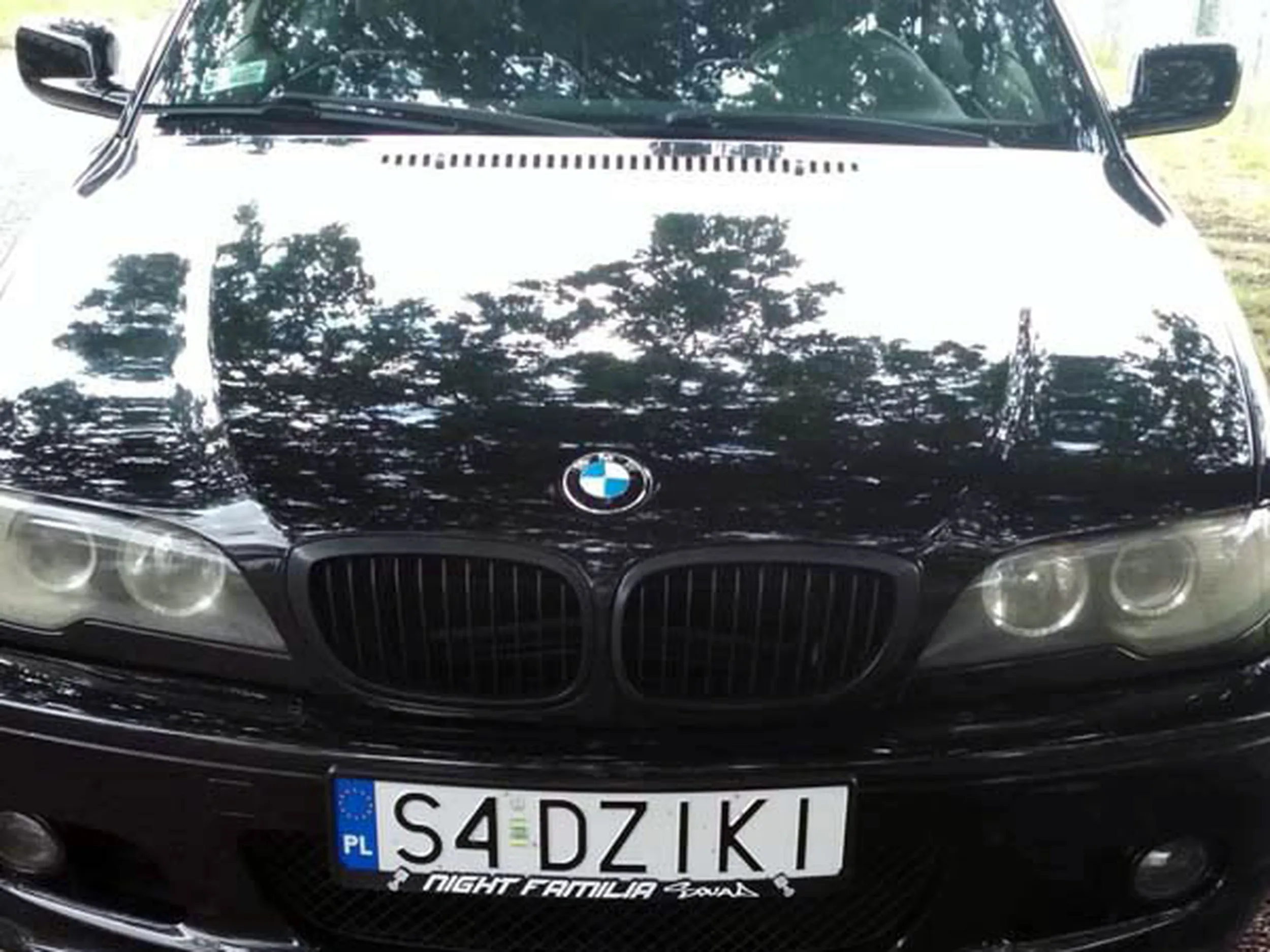 Fajny numer, blacha S4 DZIKI