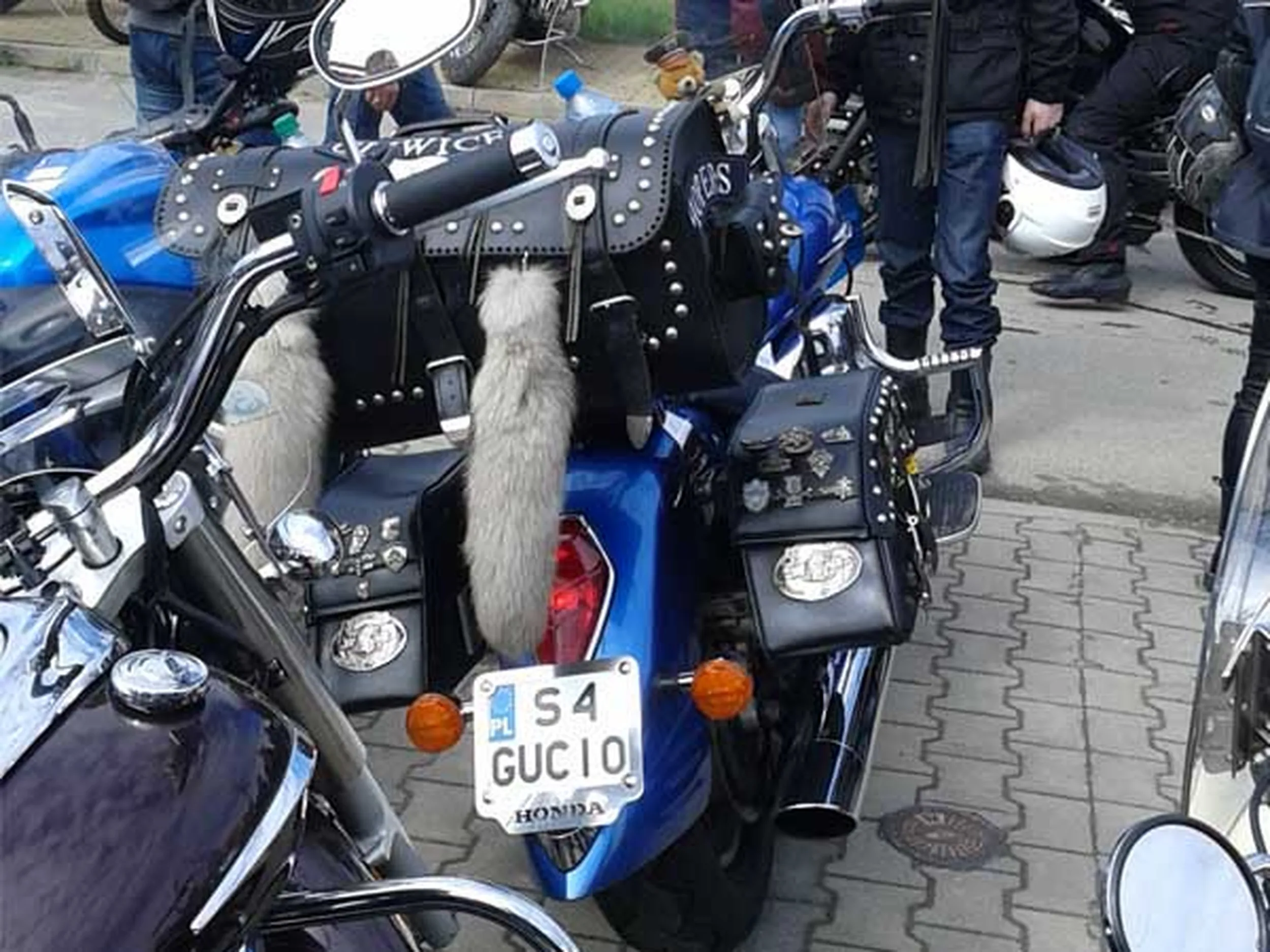 Fajny numer, blacha S4 GUCIO