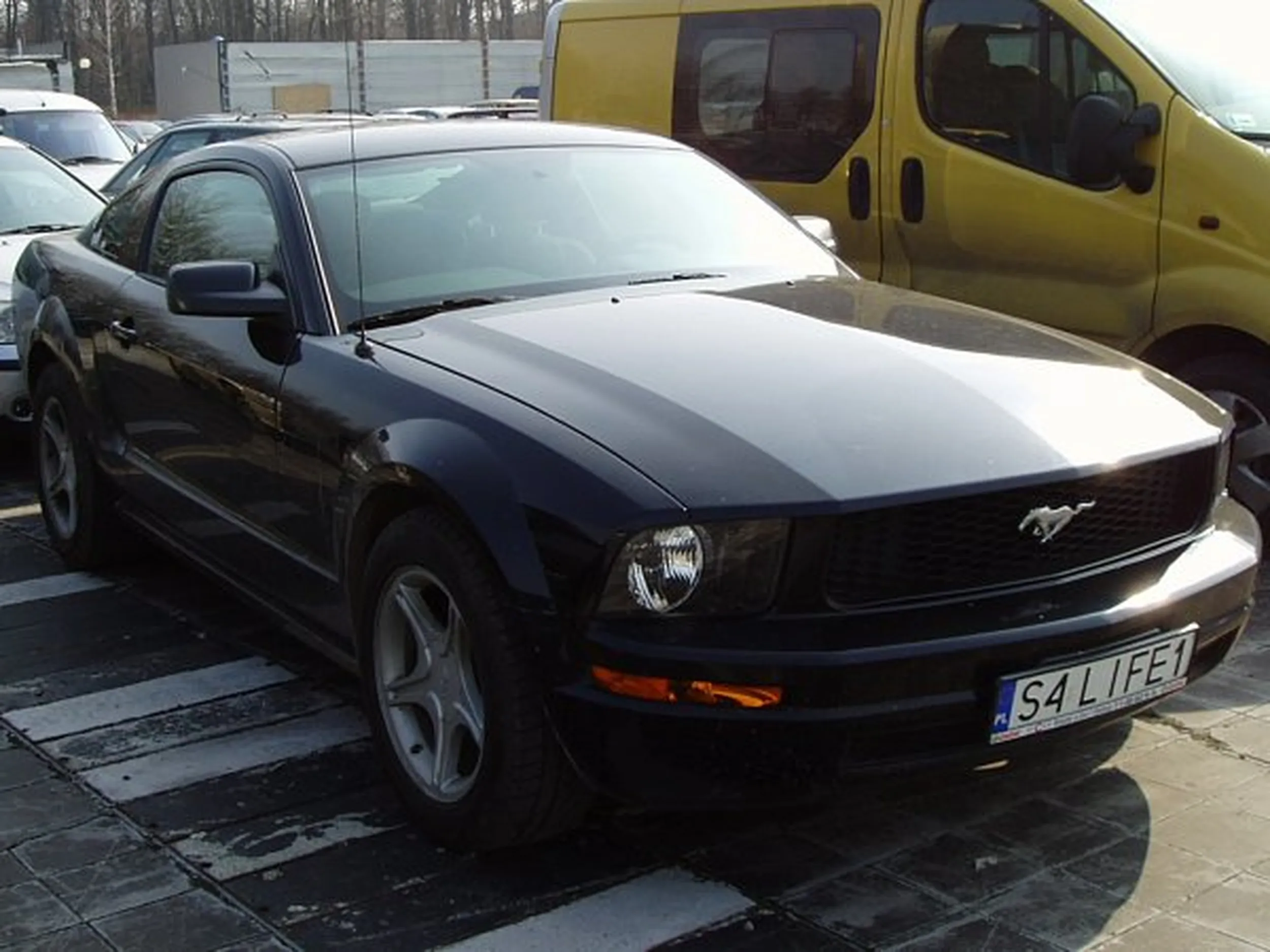 Fajny numer, blacha S4 LIFE1