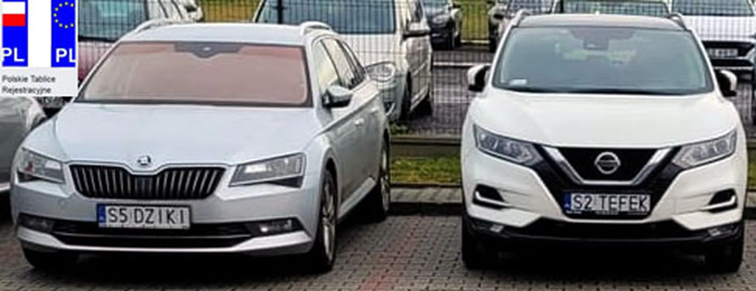 Fajny numer, blacha S5 DZIKI