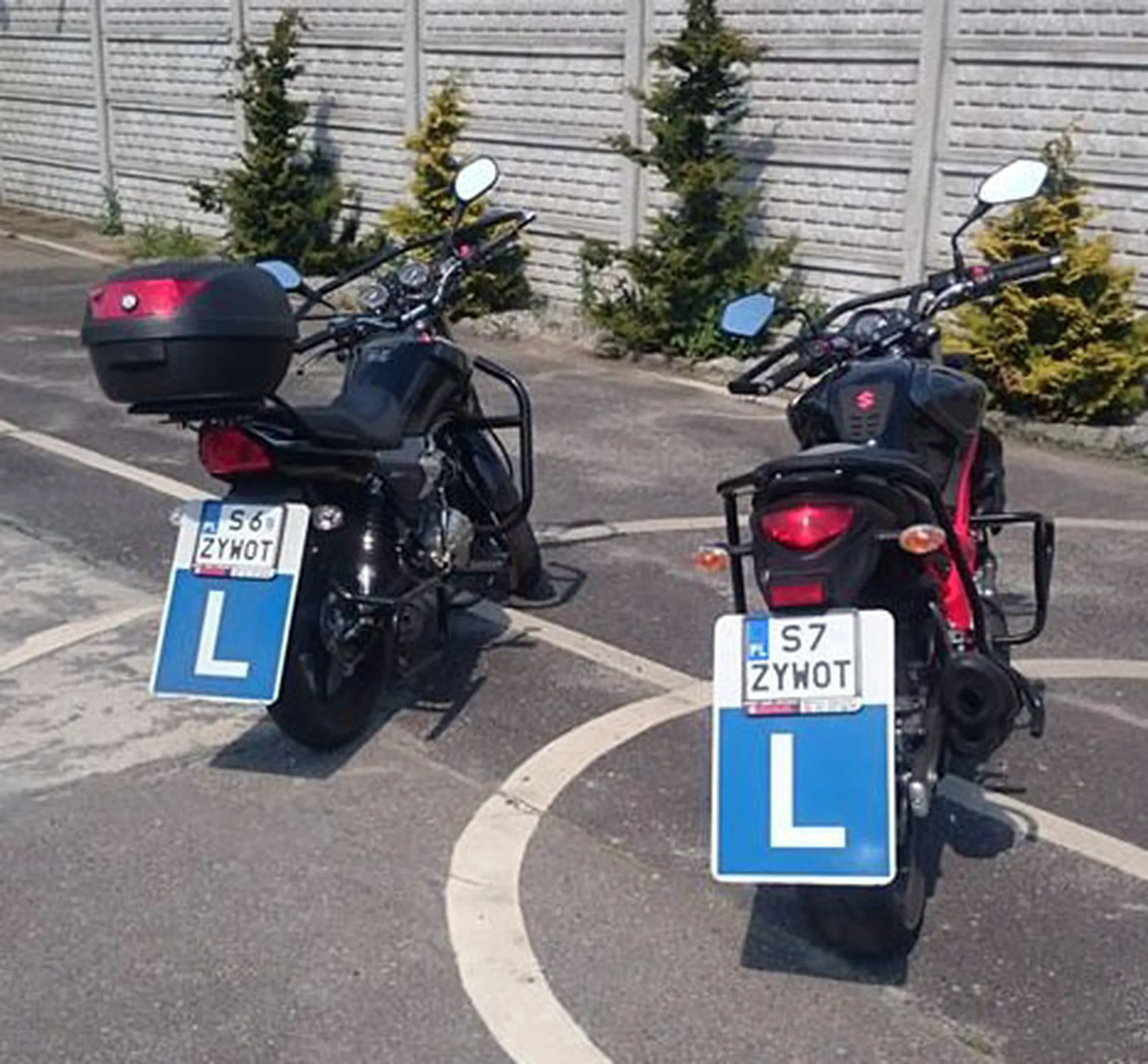 Fajny numer, blacha S6 ZYWOT