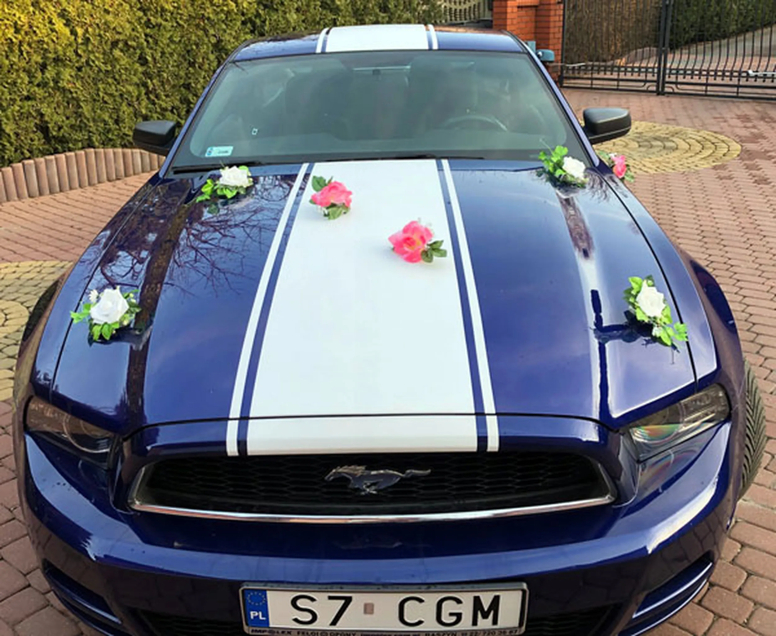 Fajny numer, blacha S7 CGM